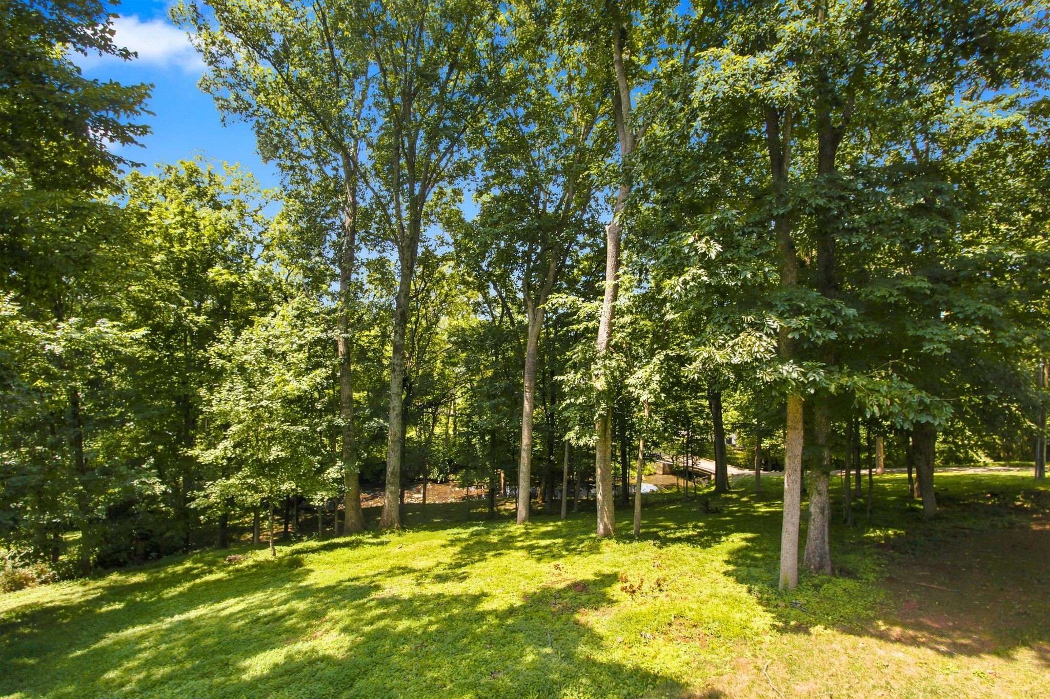 125 Carr Dr Property Photo 36