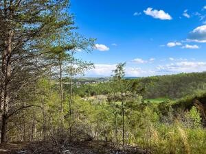 0 Owl Hollow Road, Sw Property Photo 1