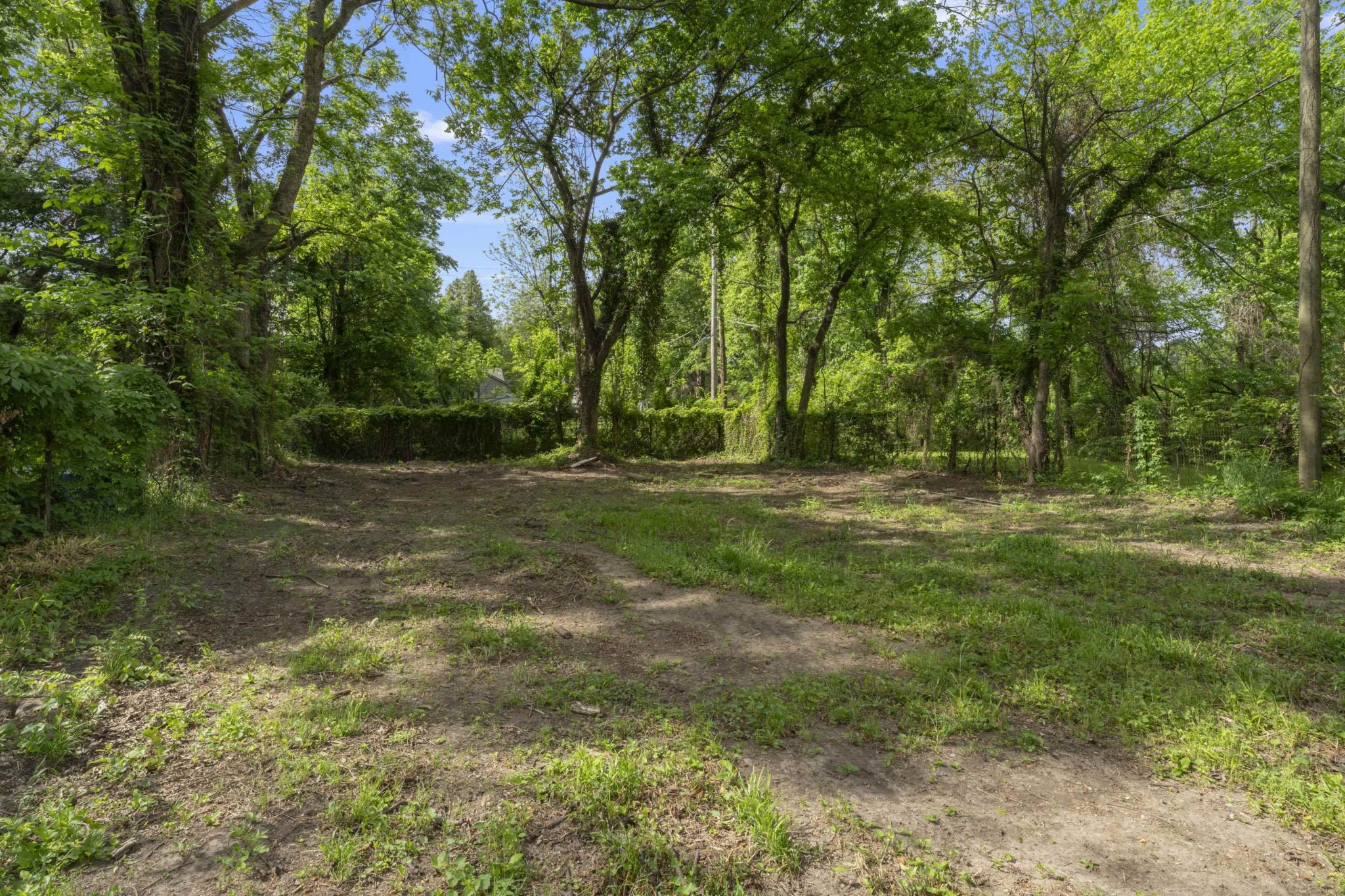 3075 Spottswood Ave Property Photo 5