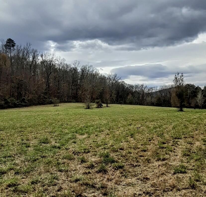 0 Hills Creek Rd Property Photo 1