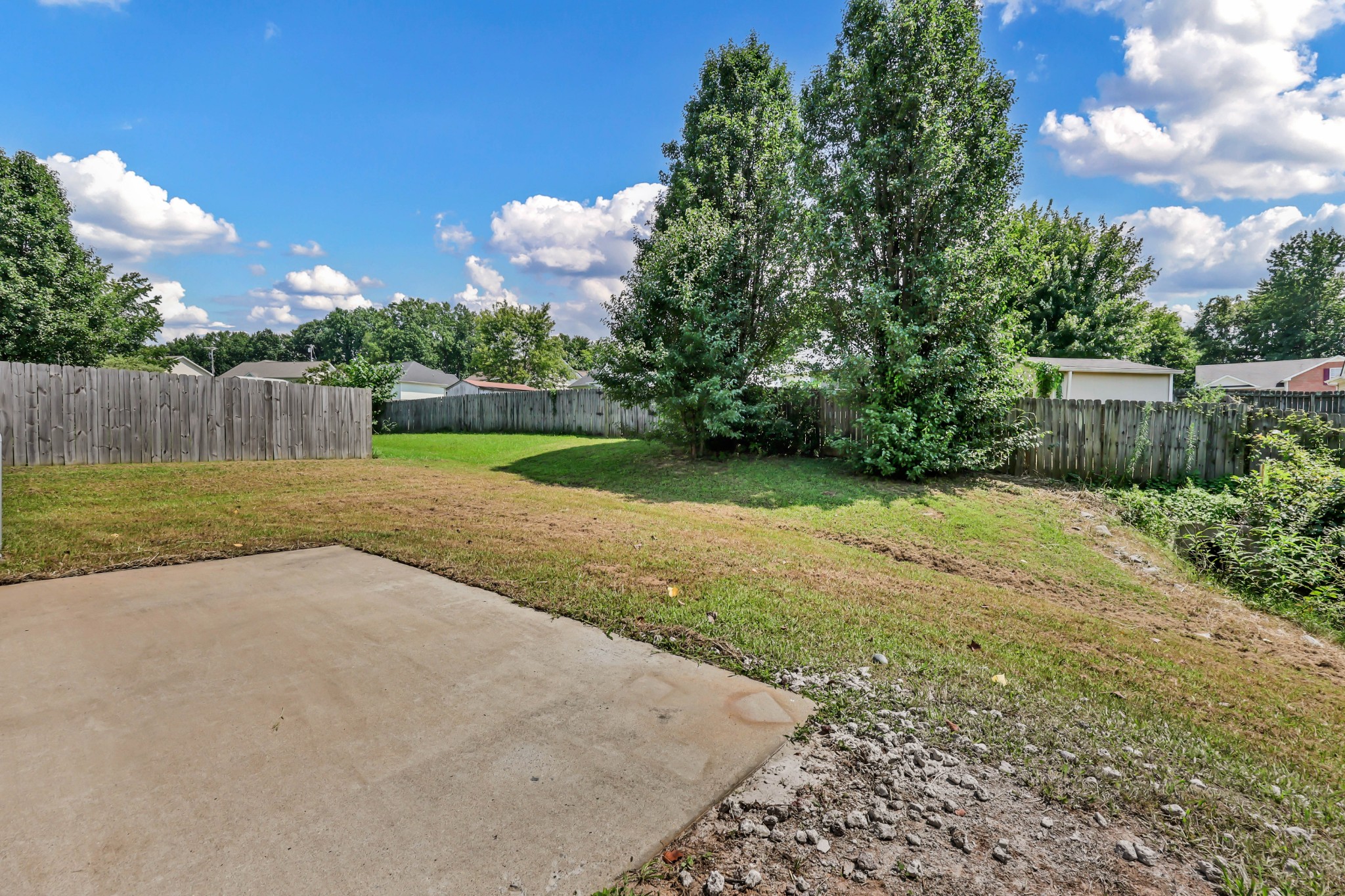 420 Chestnut Grove Way Property Photo 28