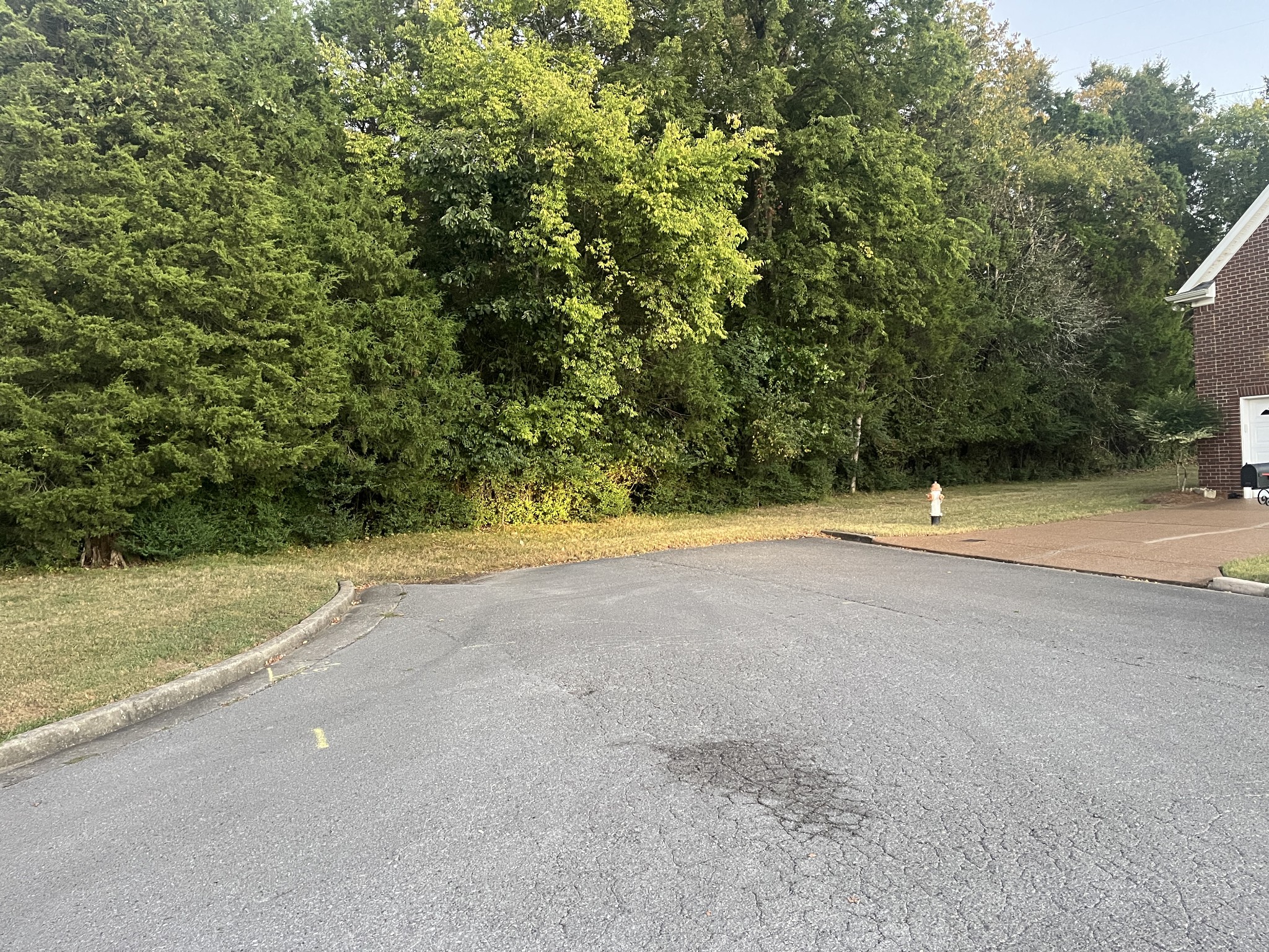5052 John Hagar Rd Property Photo 34
