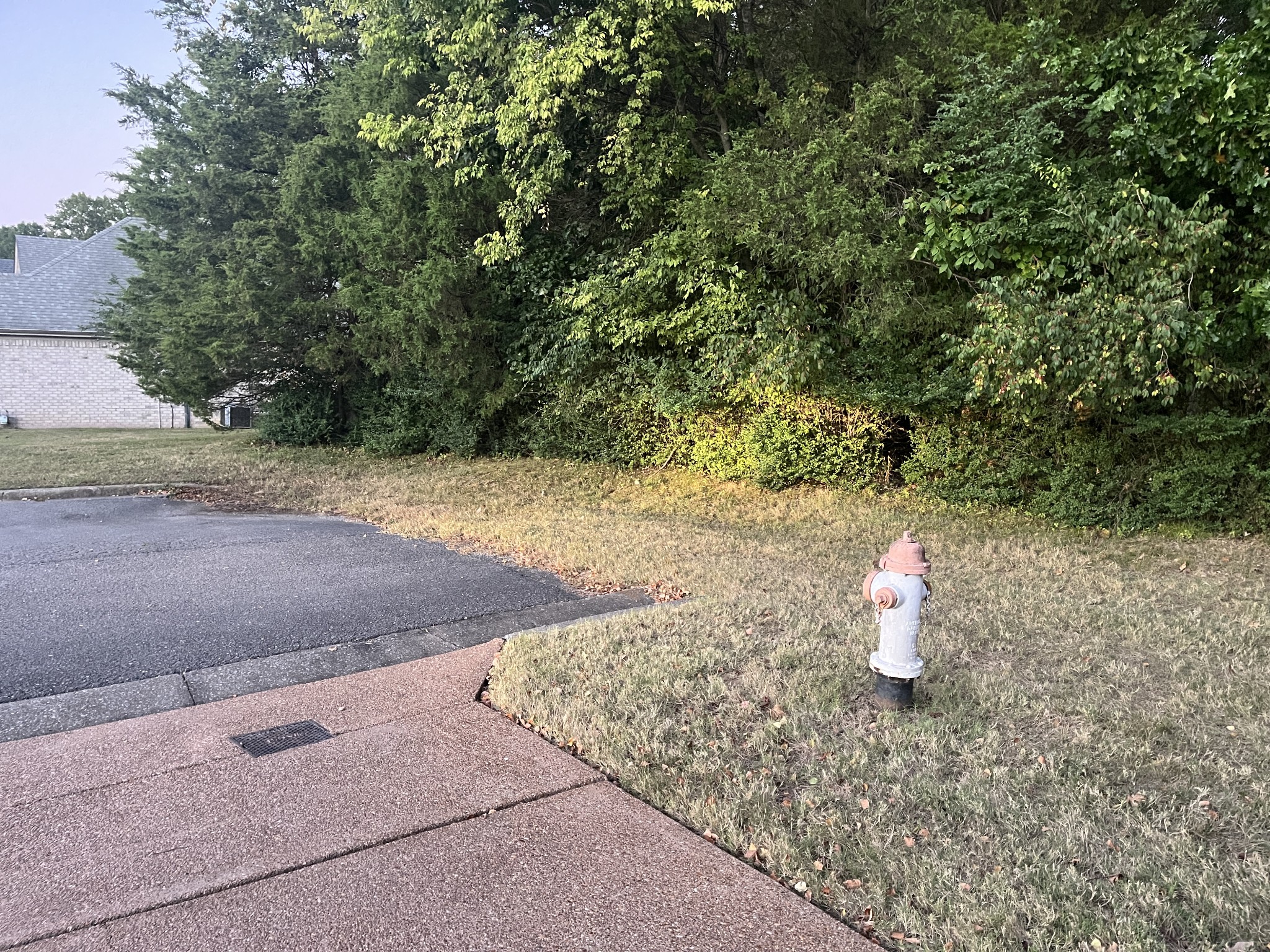 5052 John Hagar Rd Property Photo 35
