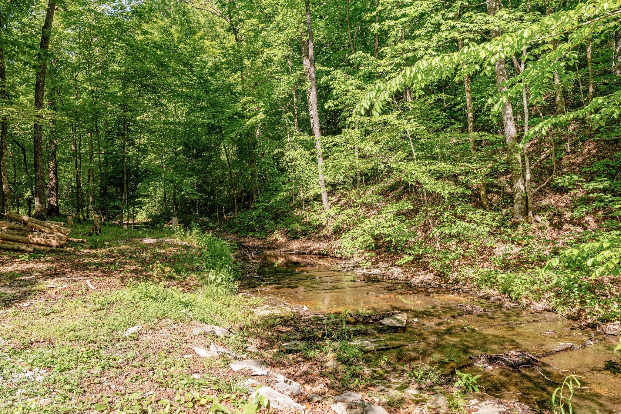 1518 Indian Springs Rd Property Photo 44