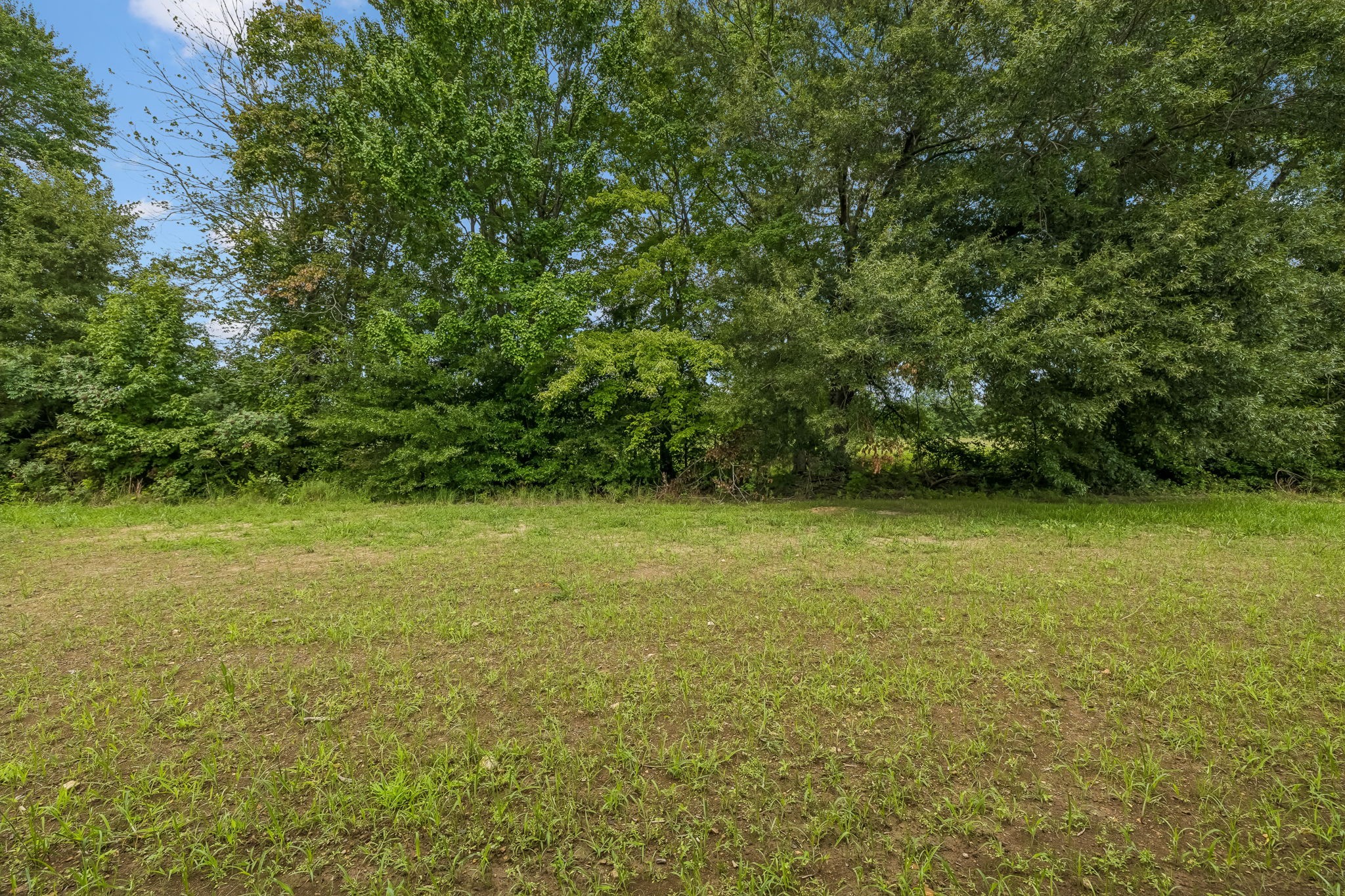 328 Villa St Property Photo 41