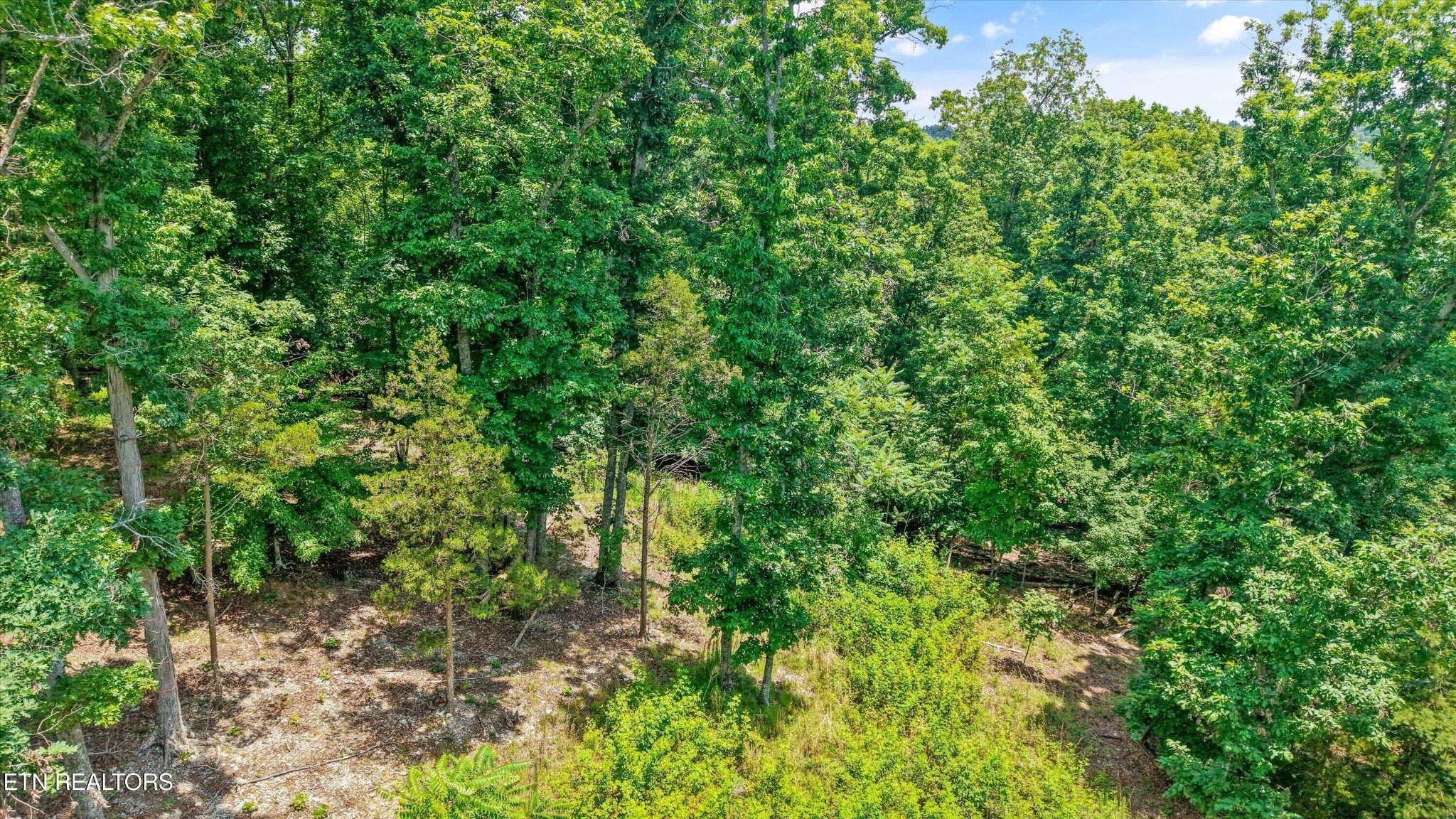 1499 Dogwood Valley Rd Property Photo 1