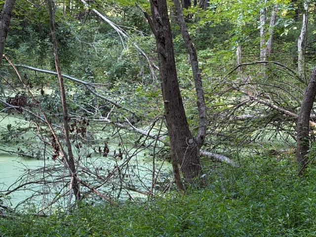 921 Eli Rd Property Photo 6