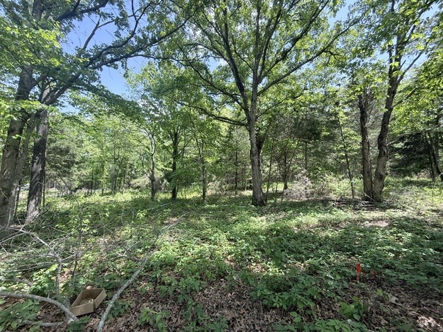921 Eli Rd Property Photo 7