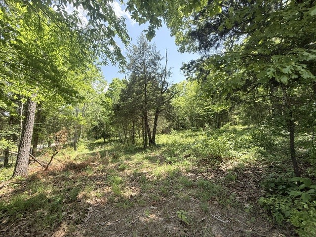921 Eli Rd Property Photo 8