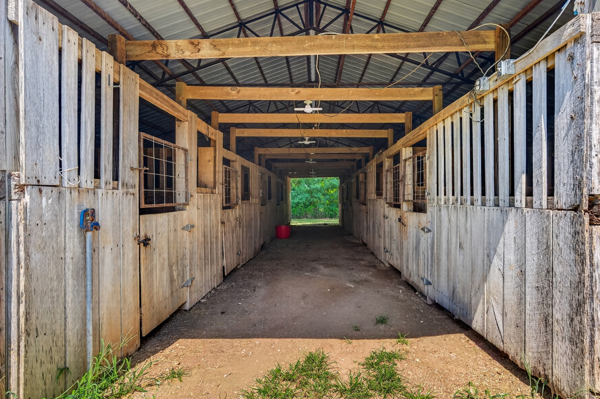 30491 Highway 110 Property Photo 29