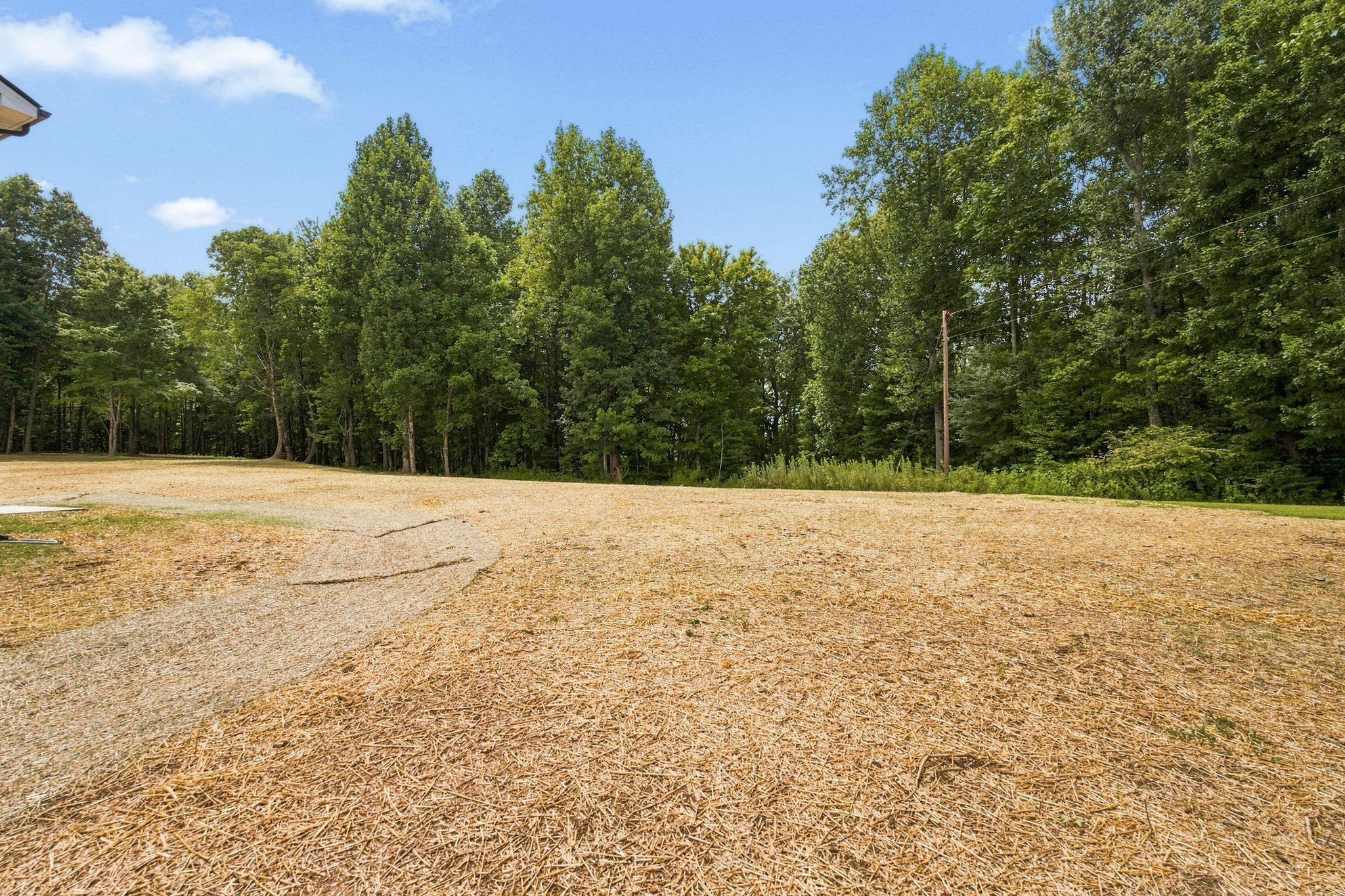 2913 Ferrells Branch Rd Property Photo 26
