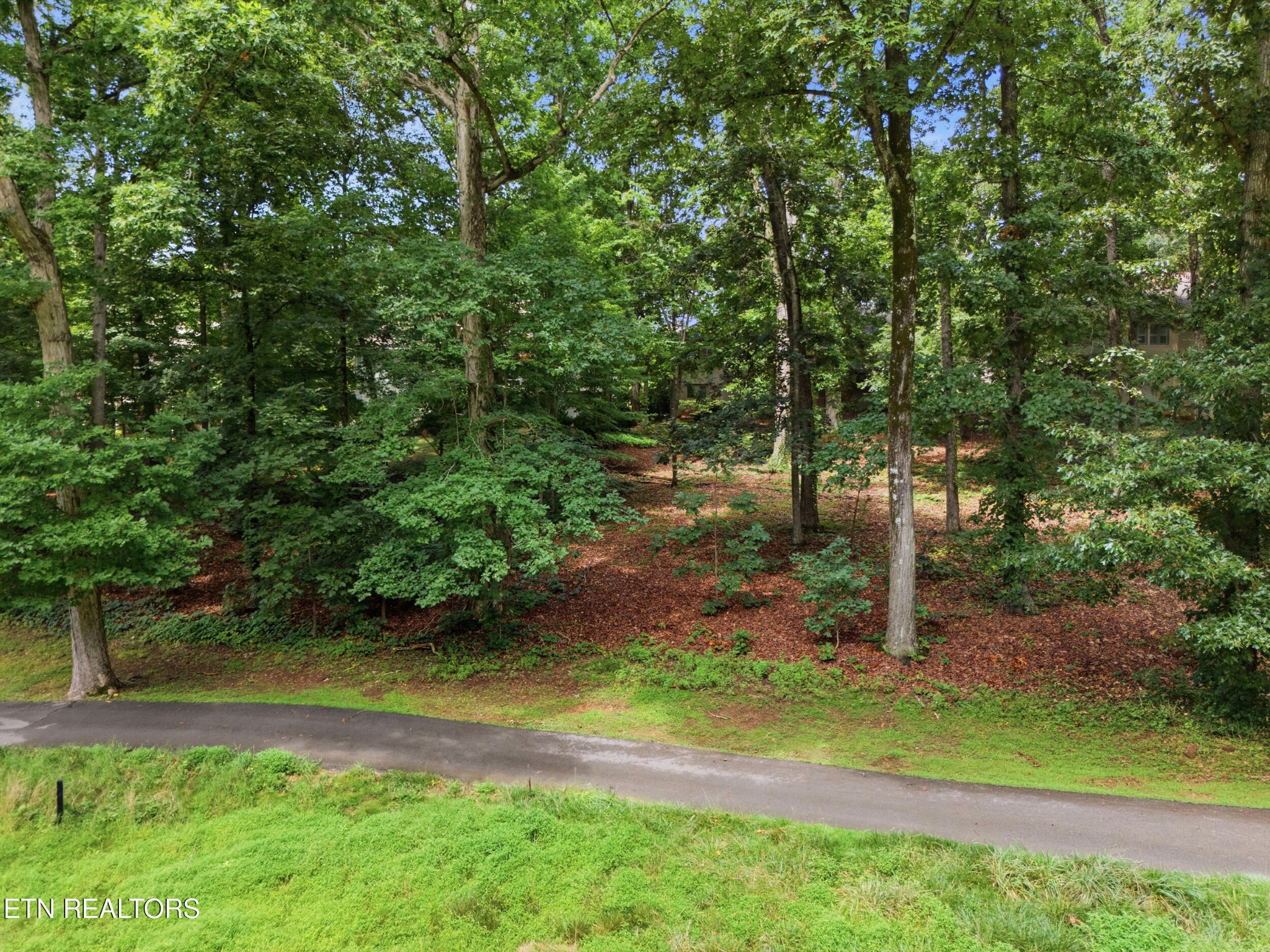 114 Oostanali Way Property Photo 52