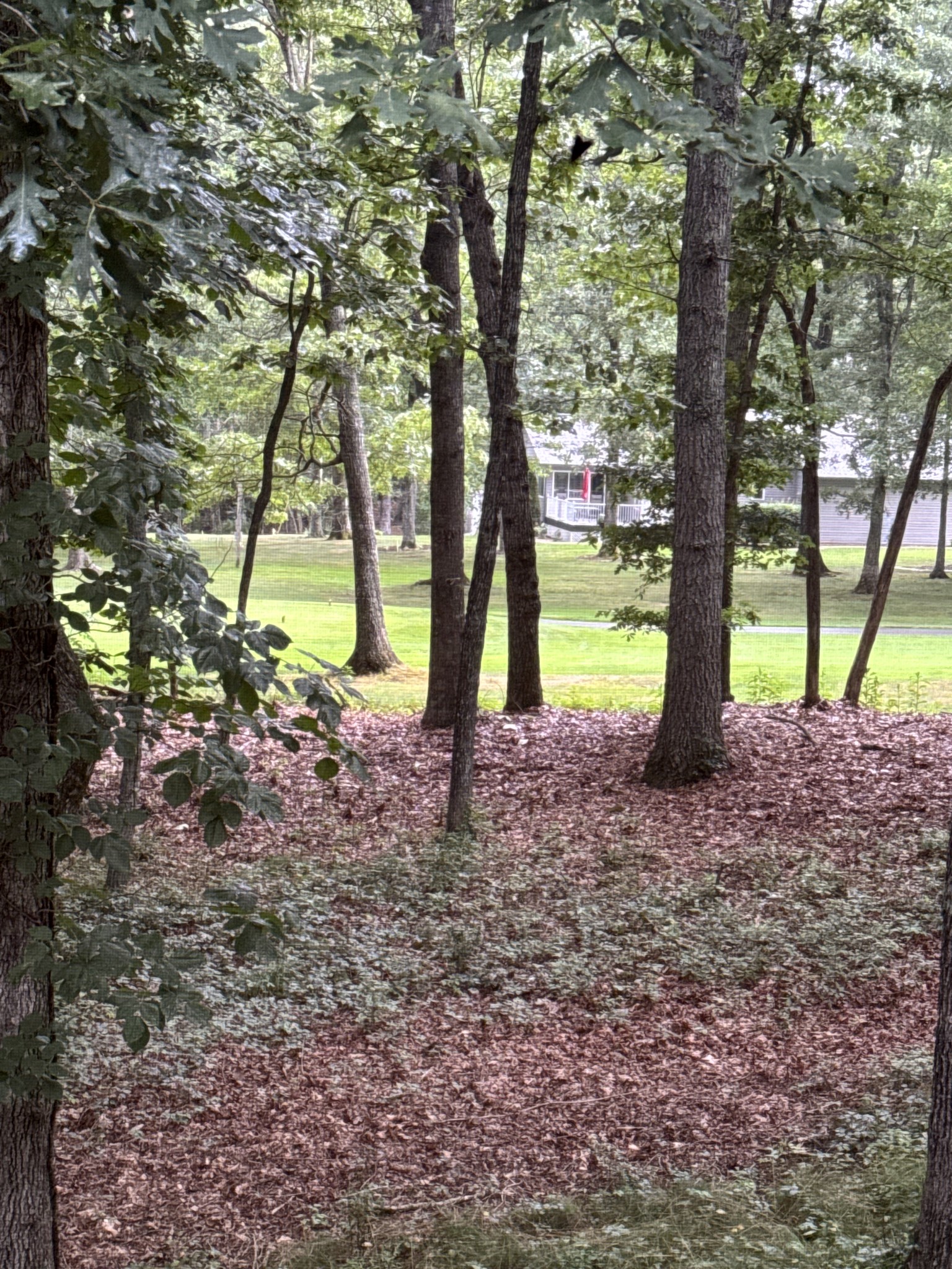 126 Rolling Green Dr Property Photo 20