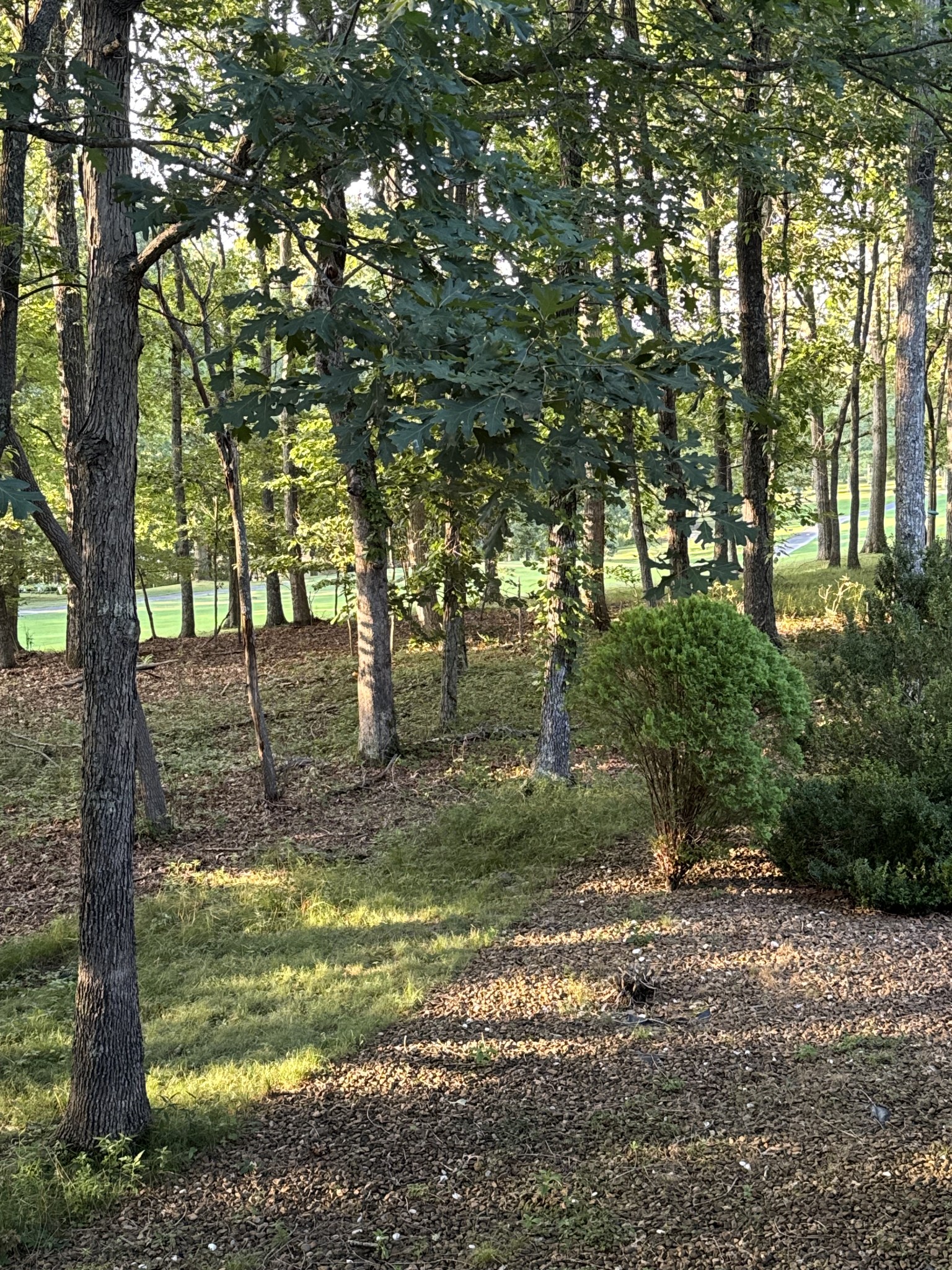 126 Rolling Green Dr Property Photo 22