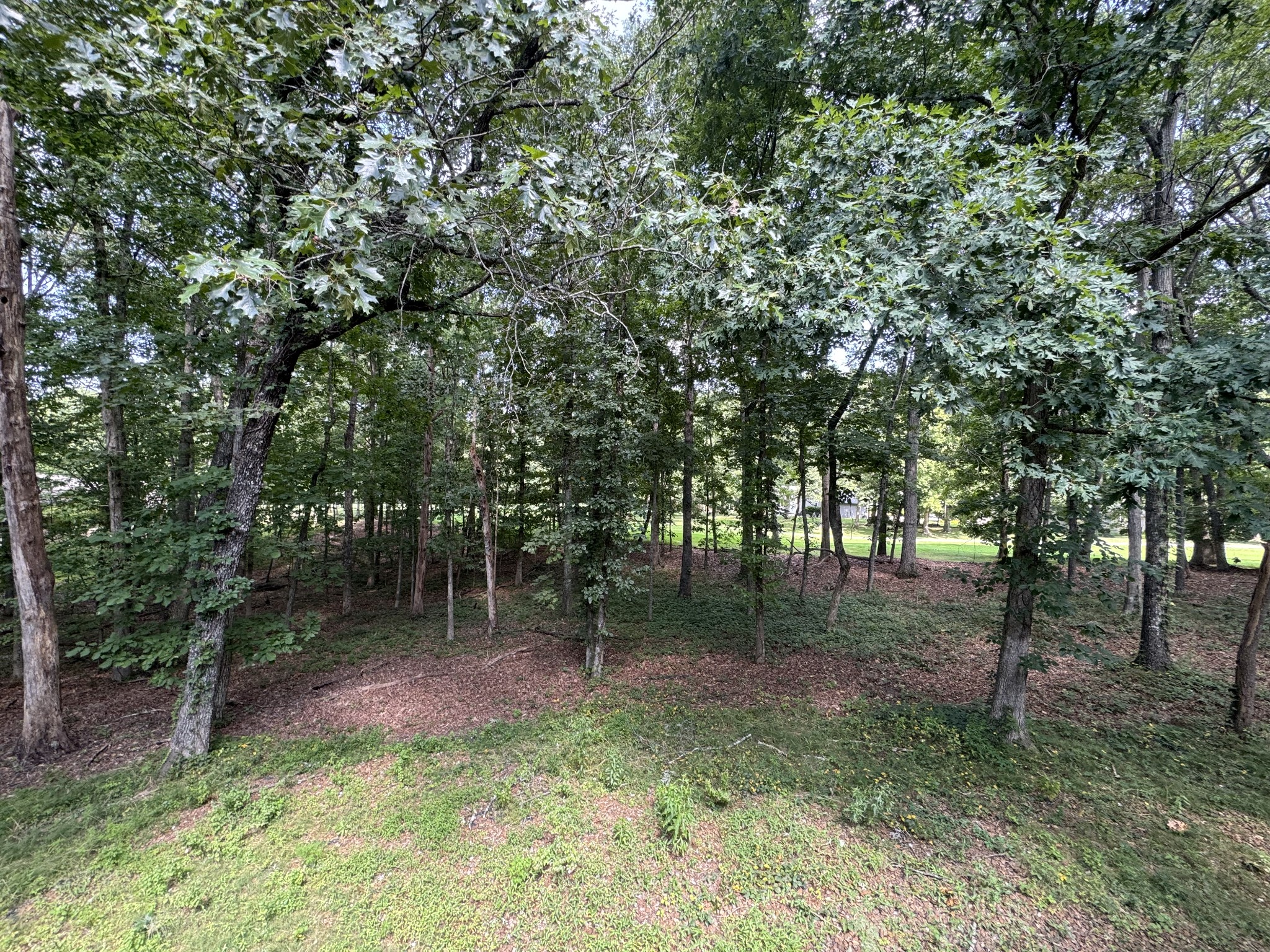 126 Rolling Green Dr Property Photo 23
