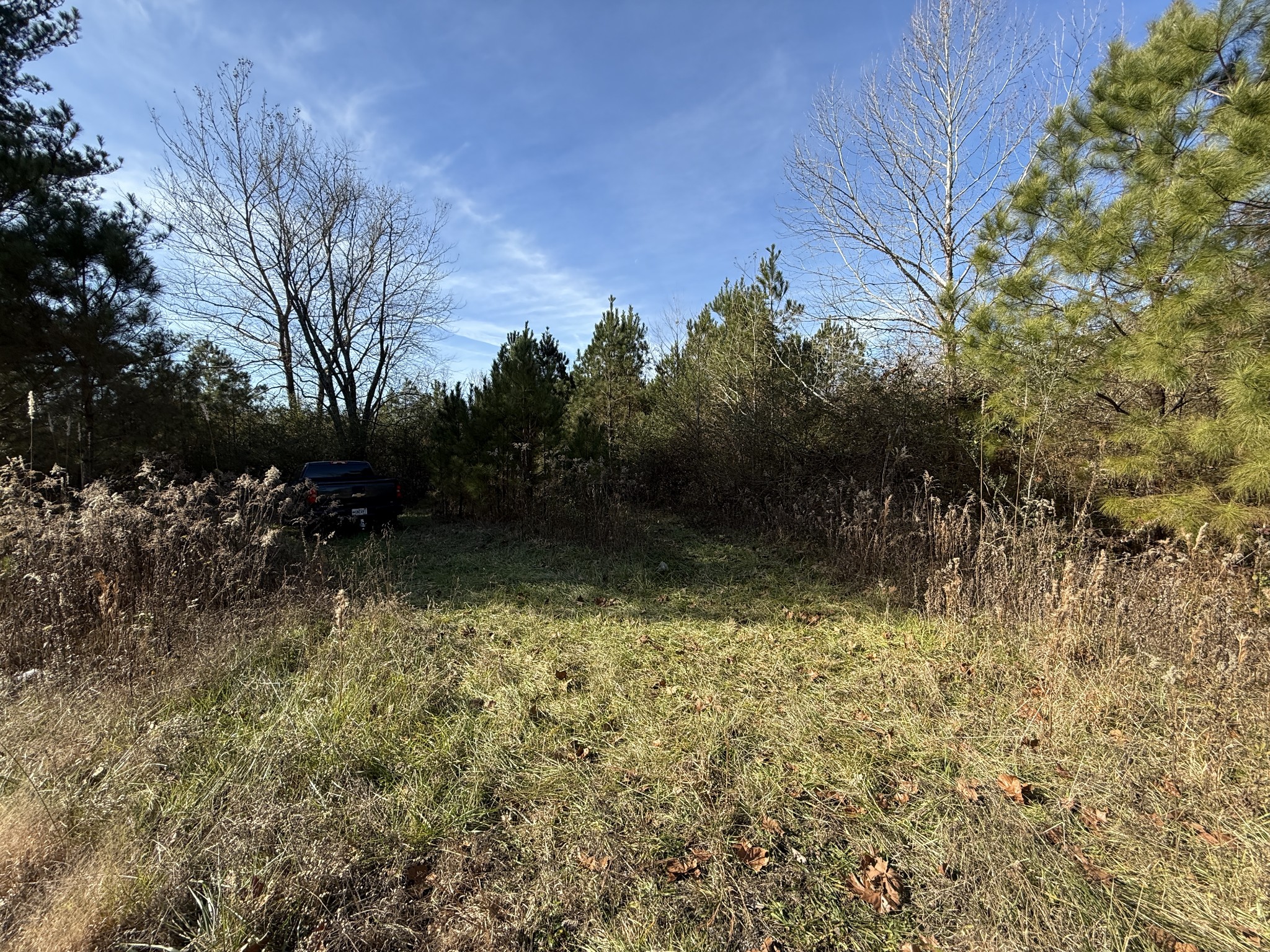 0 County Road 41 Property Photo 4