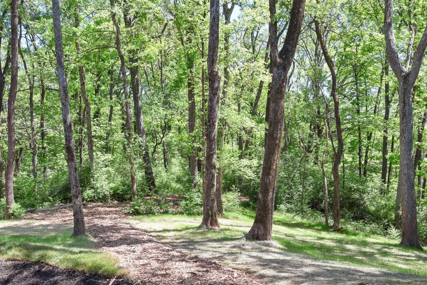 663 Hunters Trl Property Photo 90