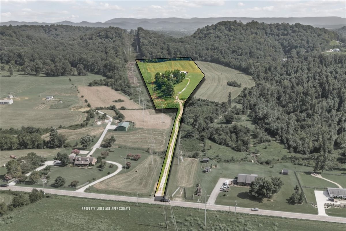 288 Highway 307, E Property Photo 4