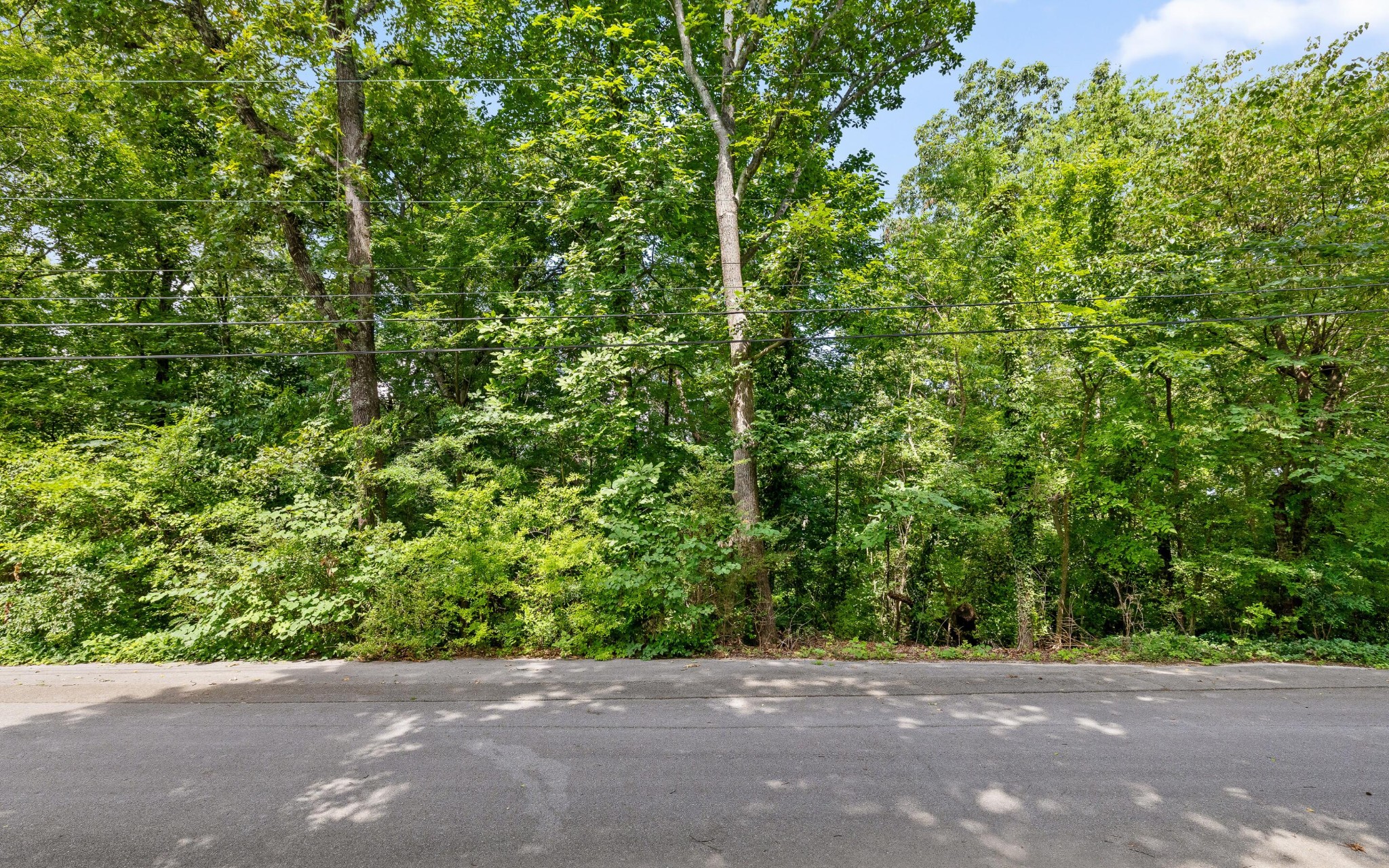 2 Franklin Drive Property Photo 14