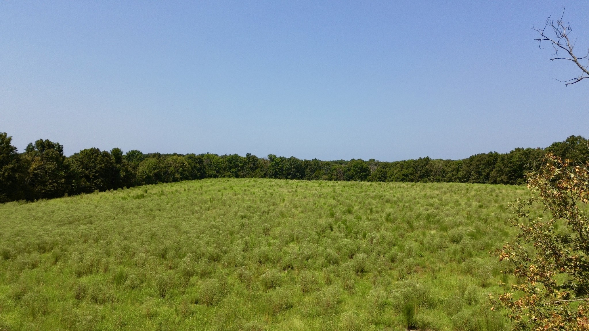 0 Danville Road Property Photo 3
