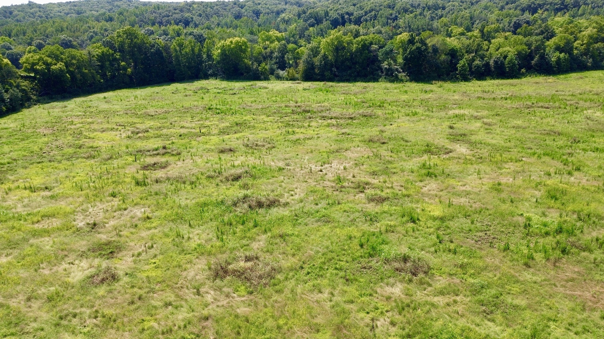 0 Danville Road Property Photo 4