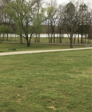 1846 Cypress Creek Rd Property Photo 3