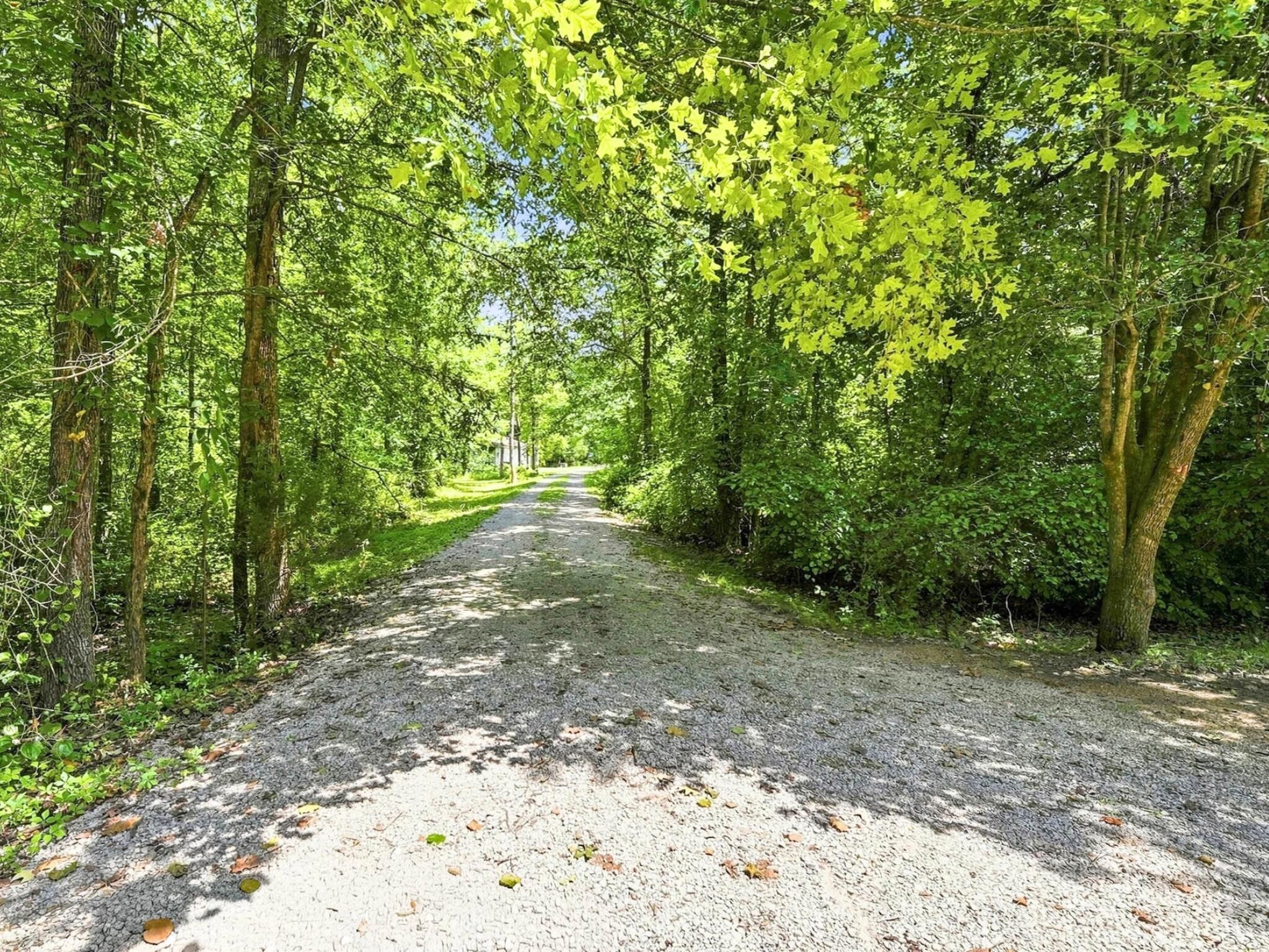 158 Hidden Hollow Road Property Photo 4