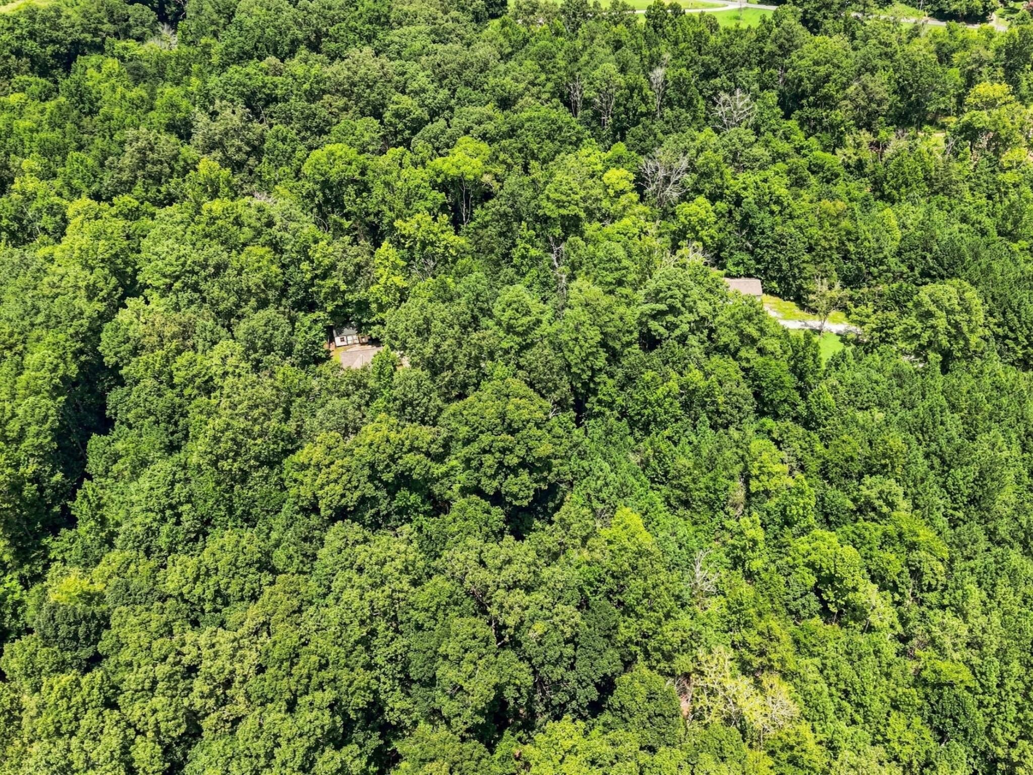 158 Hidden Hollow Road Property Photo 10