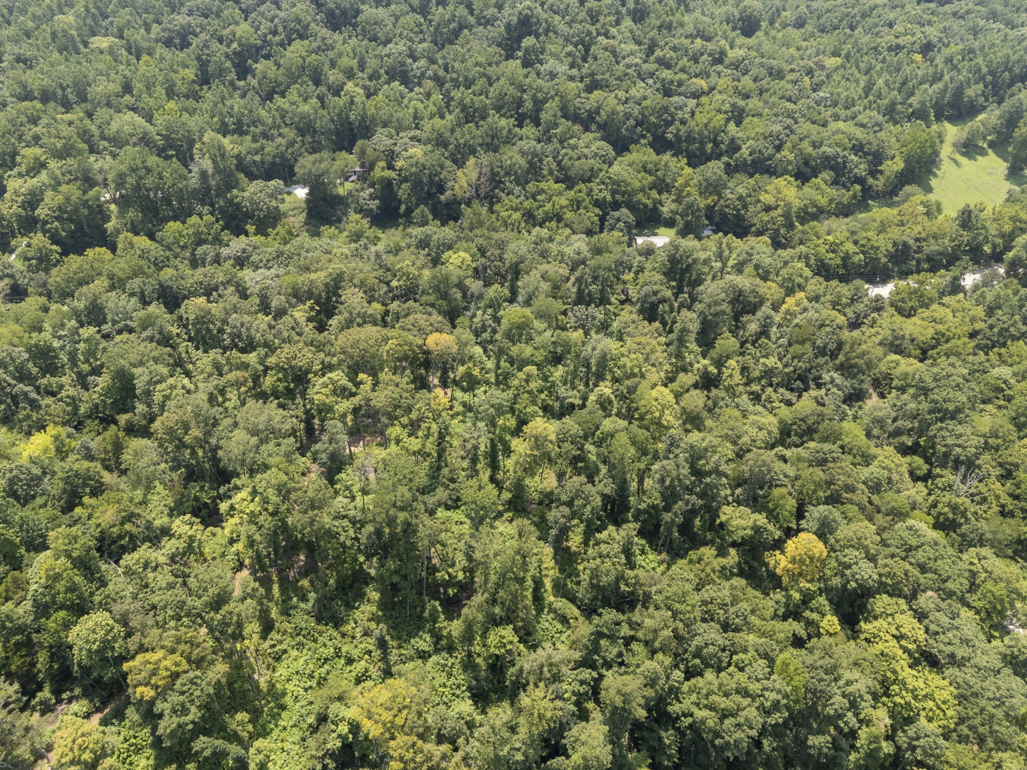 0 Hwy 49w Property Photo 11