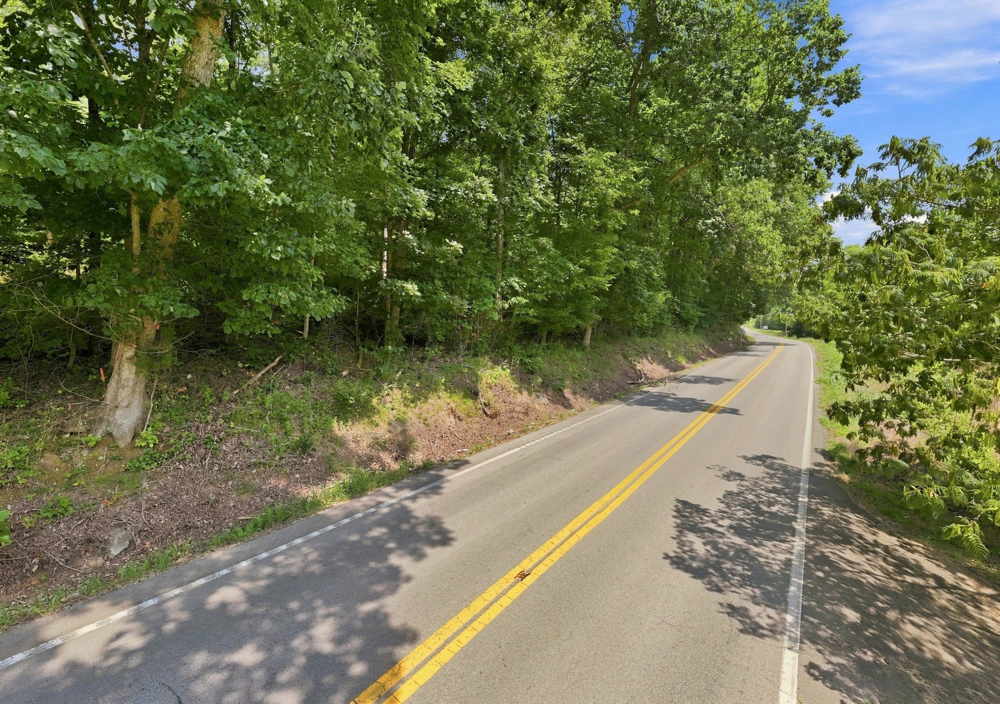 0 Hwy 49w Property Photo 14