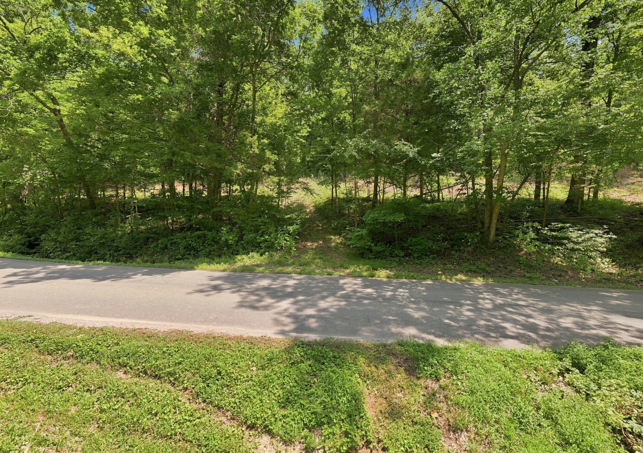 0 Hwy 49w Property Photo 15