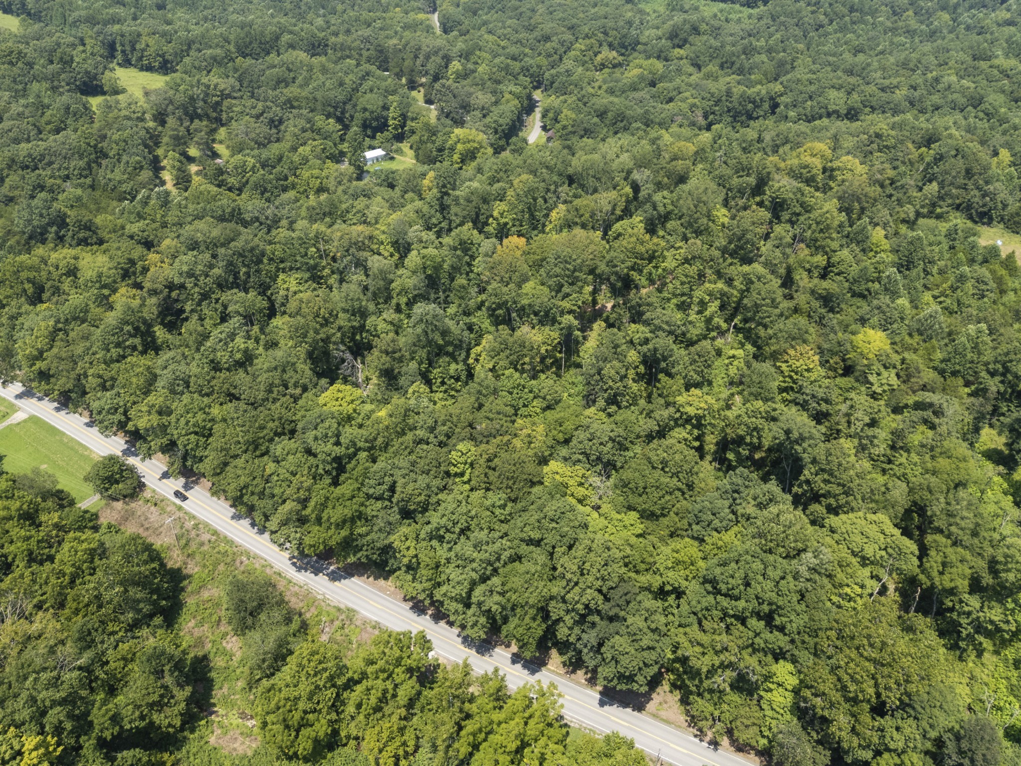 0 Hwy 49w Property Photo 18