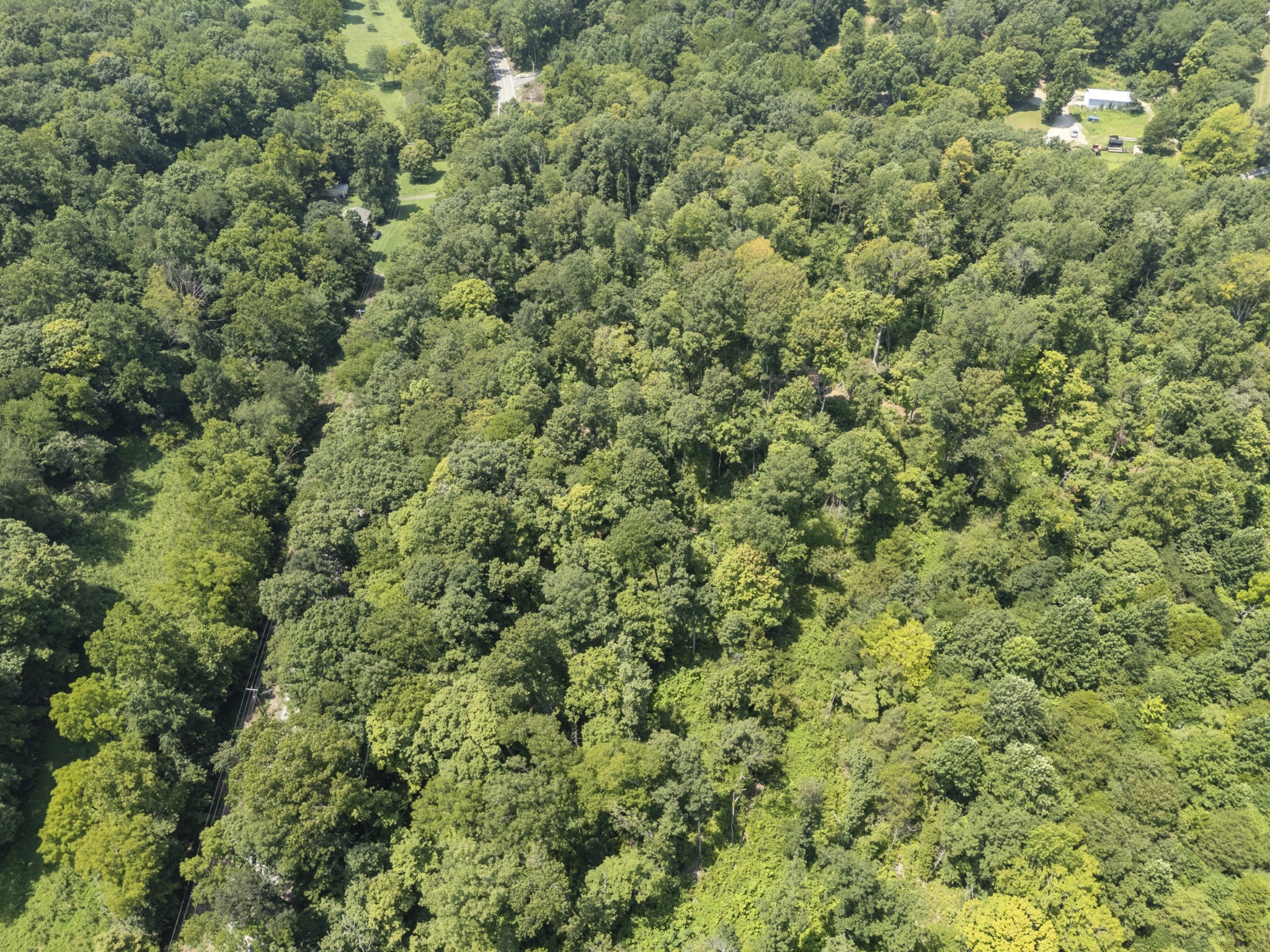 0 Hwy 49w Property Photo 19