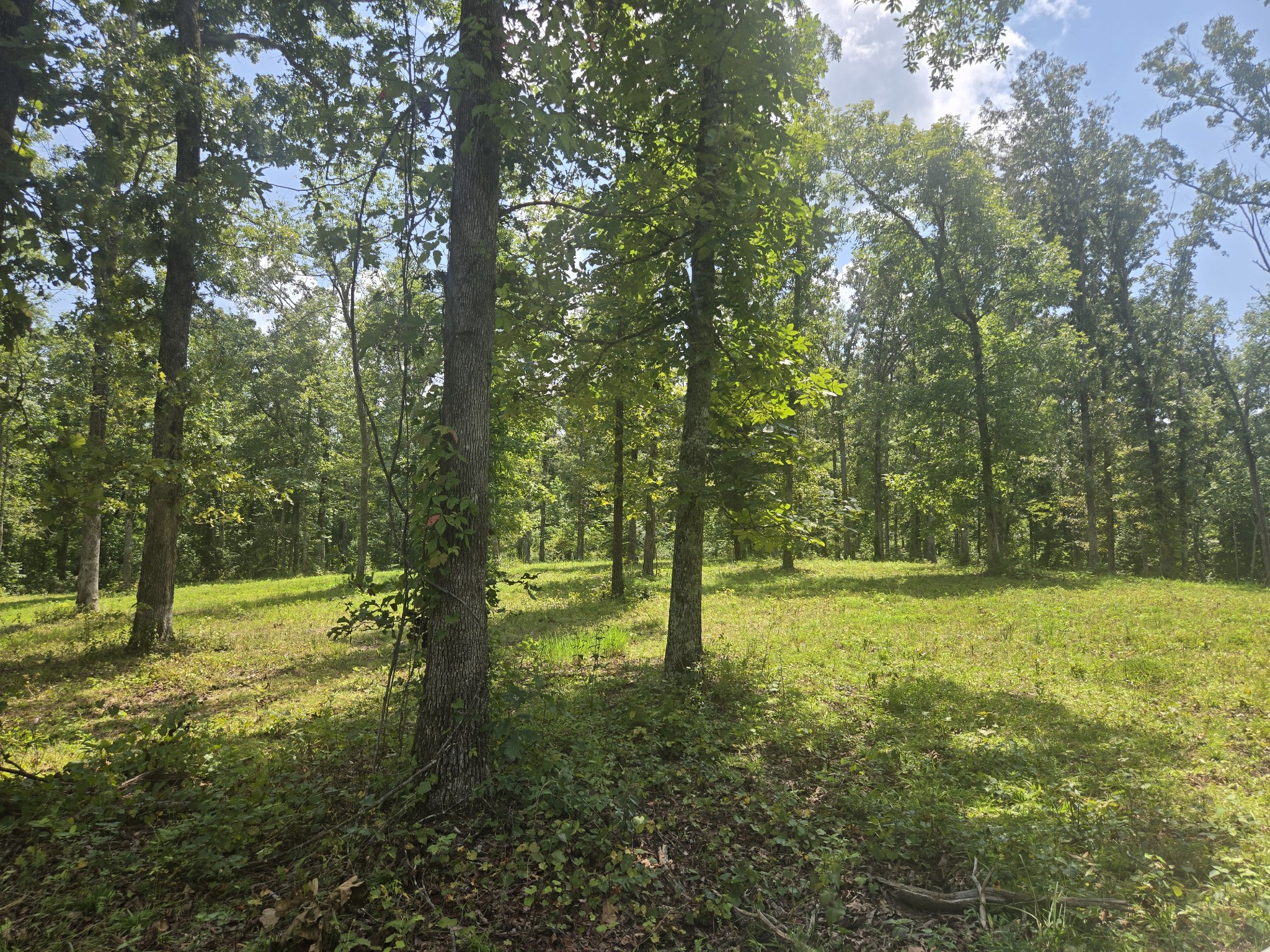 655 Dyer Rd Property Photo 1