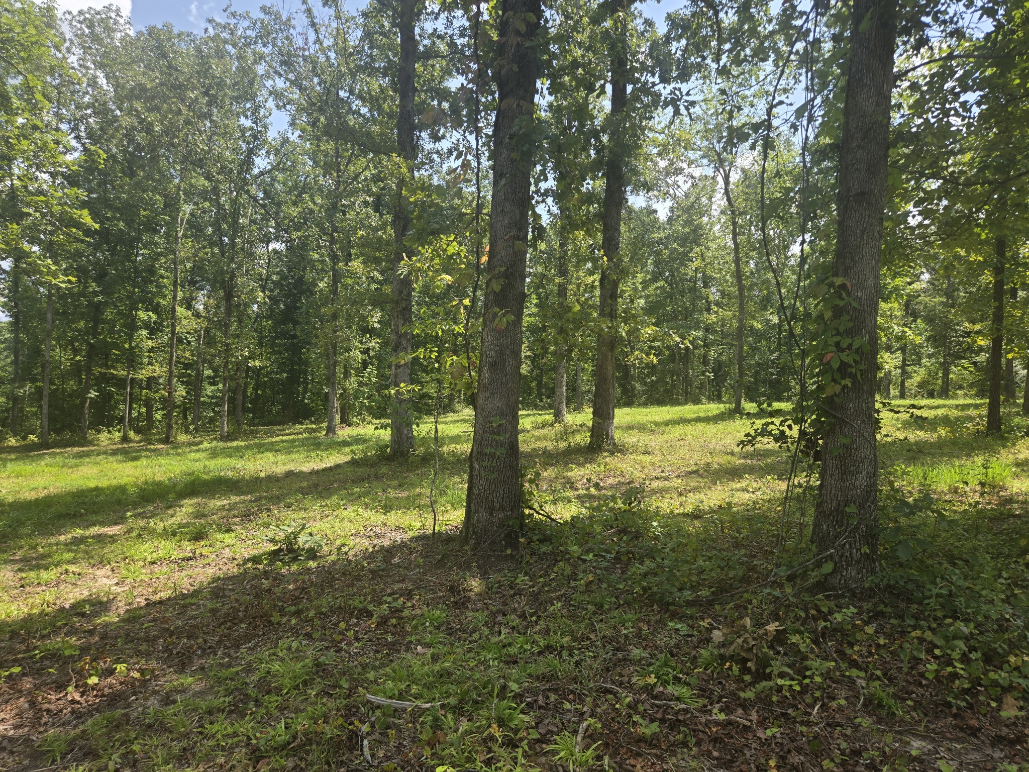 655 Dyer Rd Property Photo 2