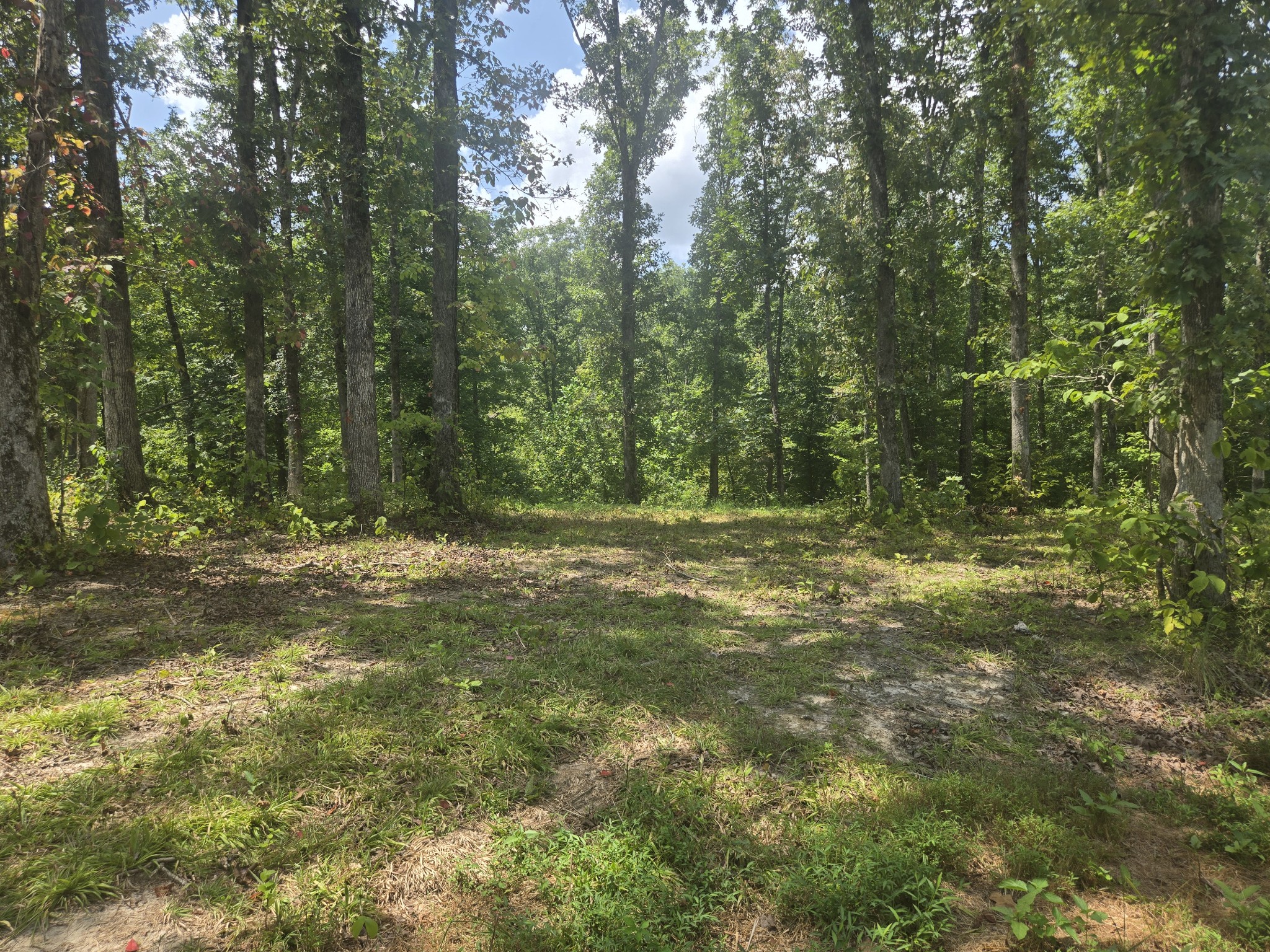 655 Dyer Rd Property Photo 3
