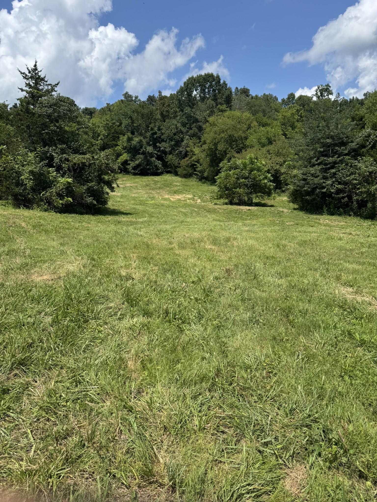 0 Sullenger Bend Property Photo 20