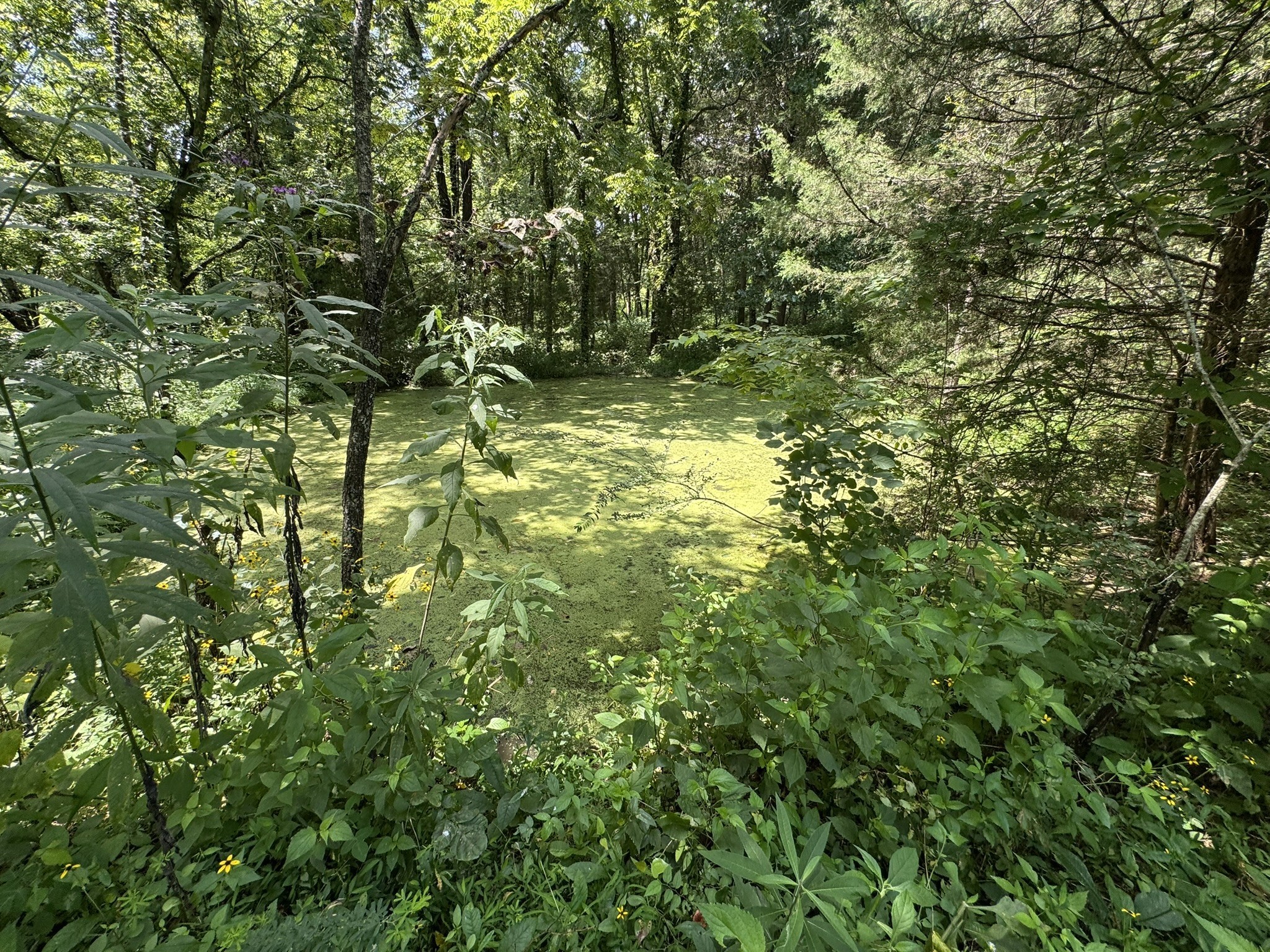 0 Sullenger Bend Property Photo 24
