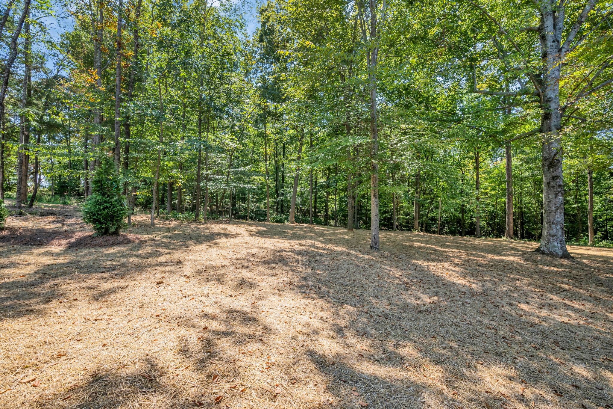 890 Steele Rd Property Photo 48