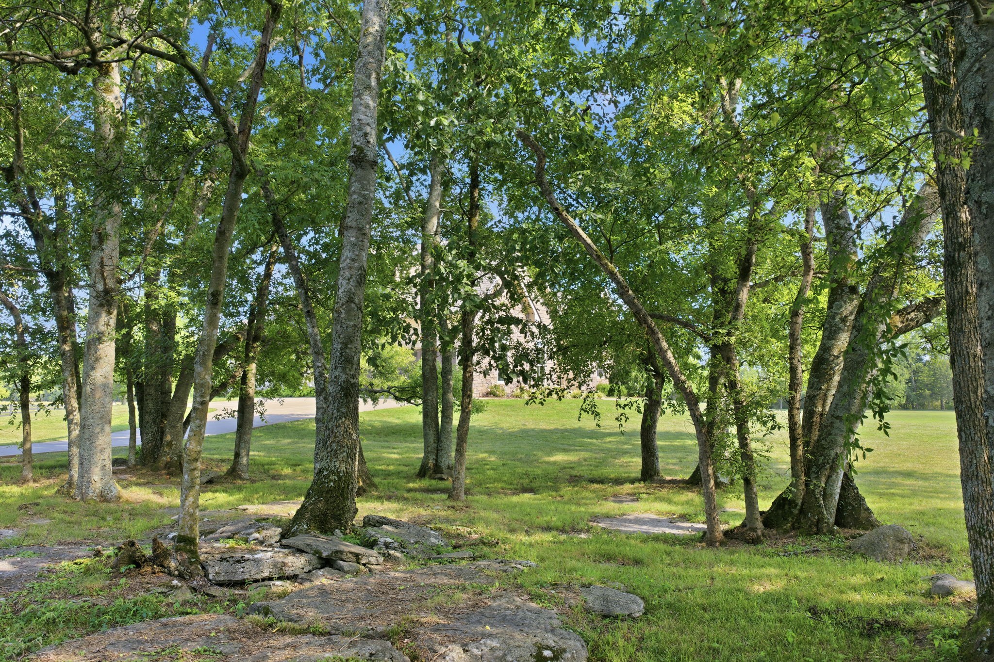 4555 Webb Rd Property Photo 17