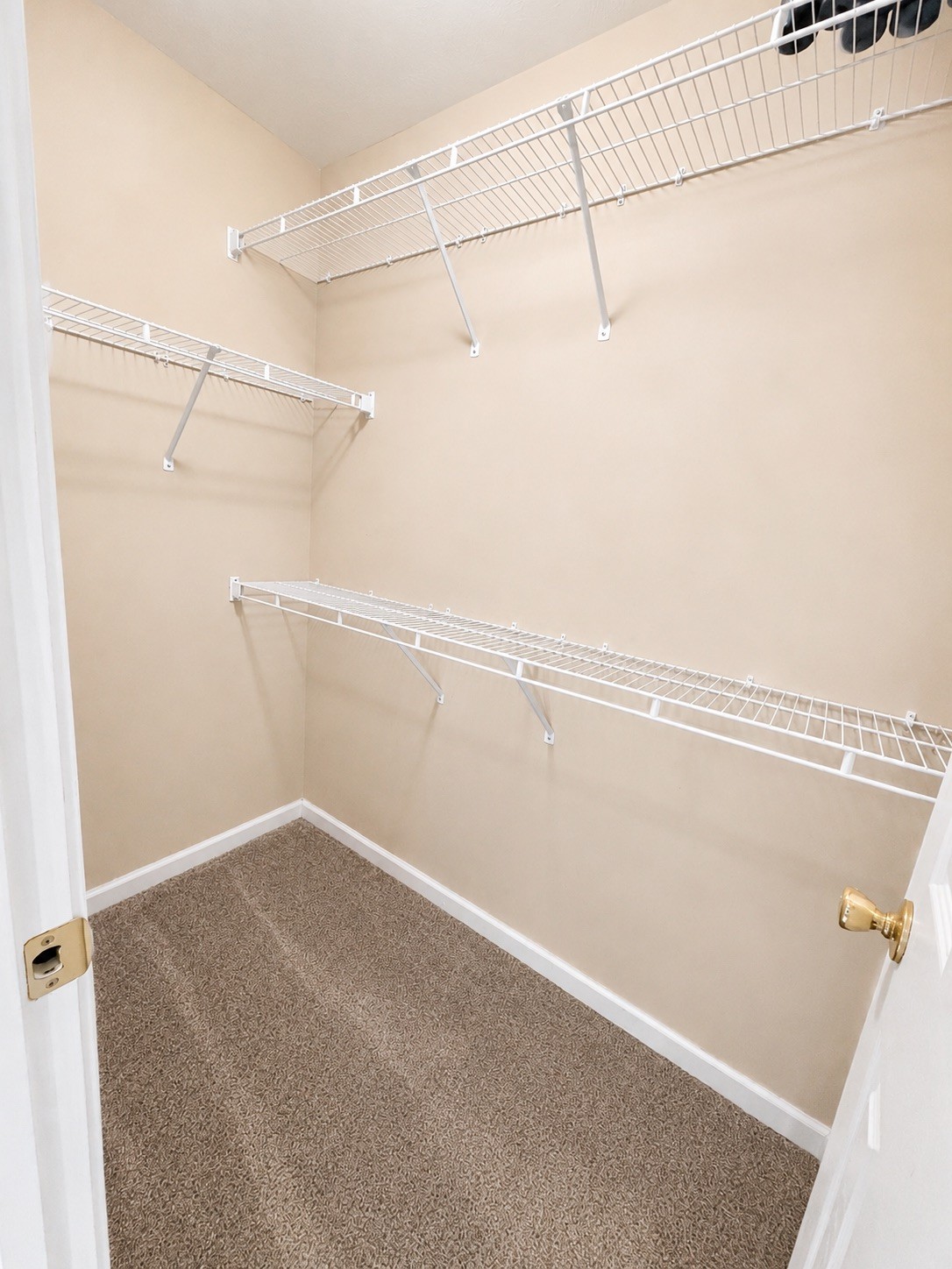 1308 Springmore Ct Property Photo 17