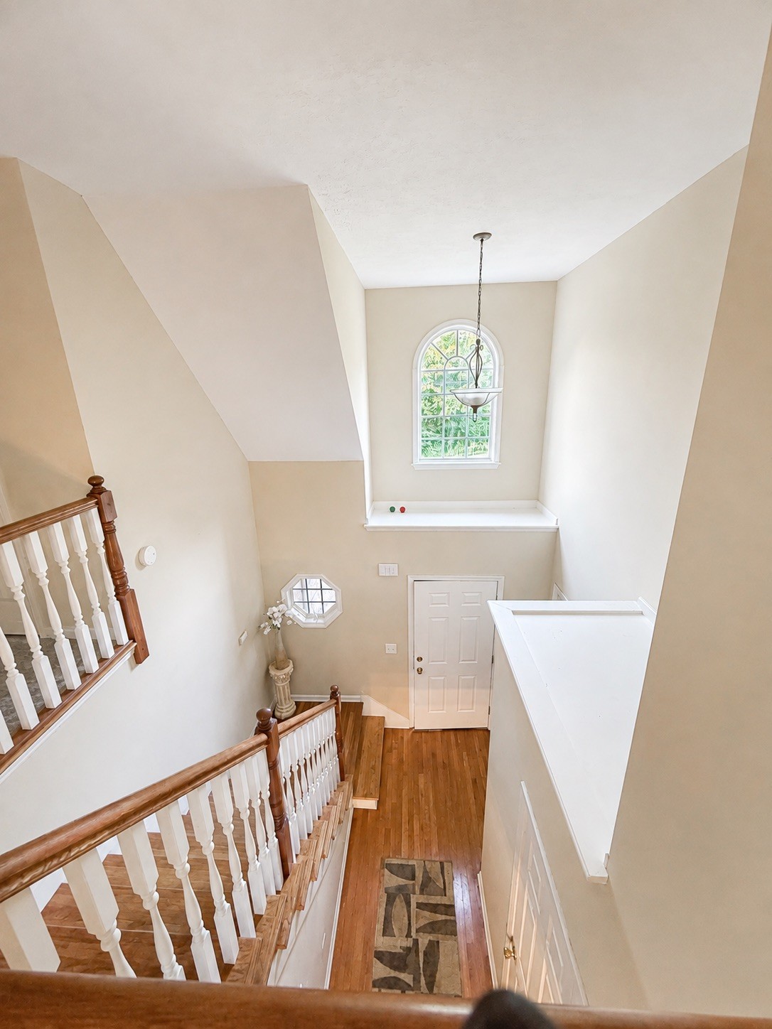 1308 Springmore Ct Property Photo 18