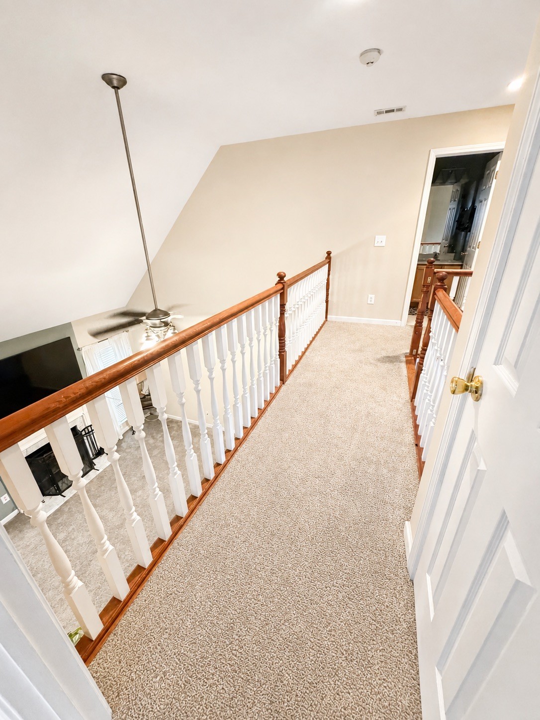 1308 Springmore Ct Property Photo 19