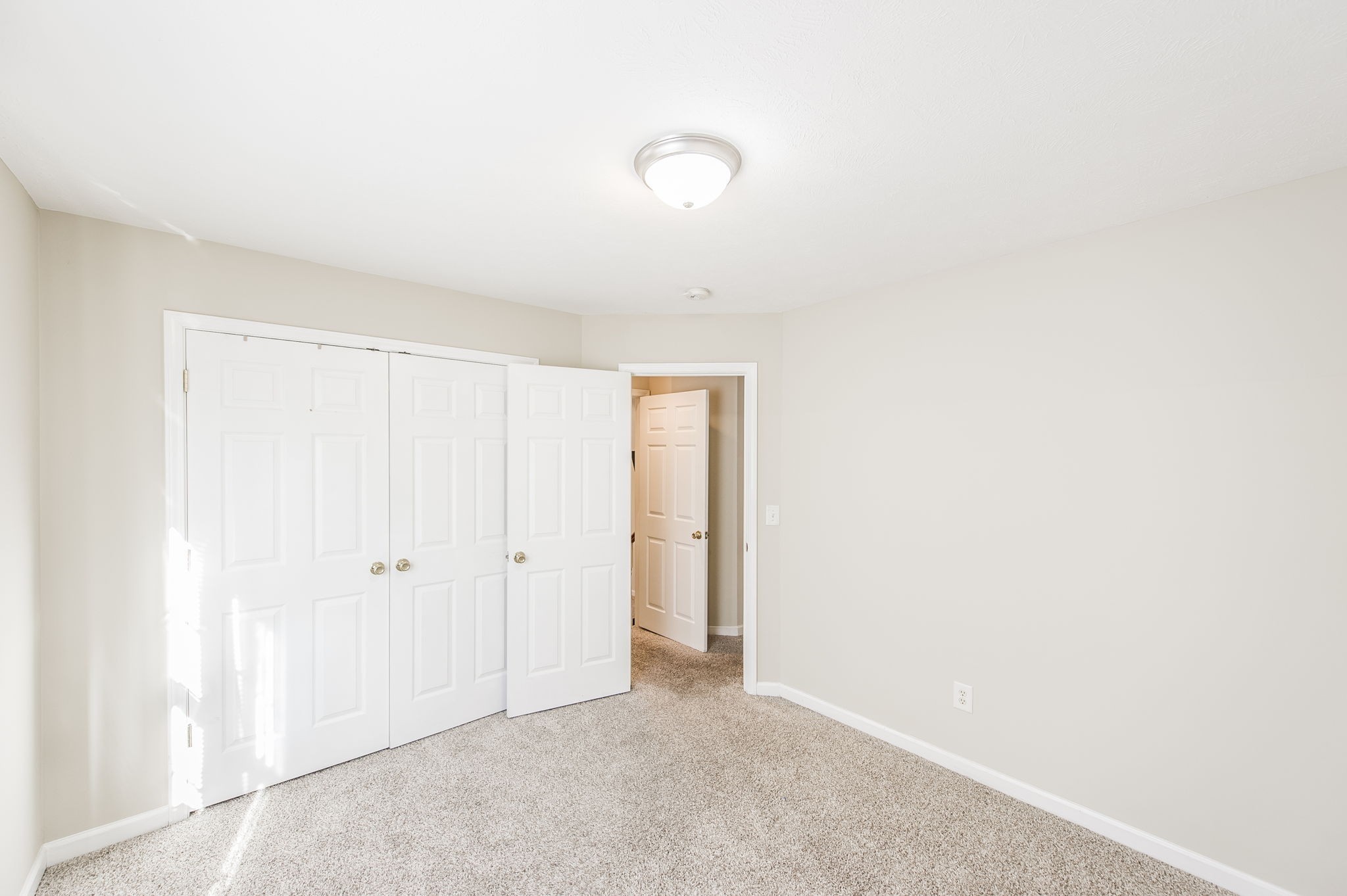 1308 Springmore Ct Property Photo 21