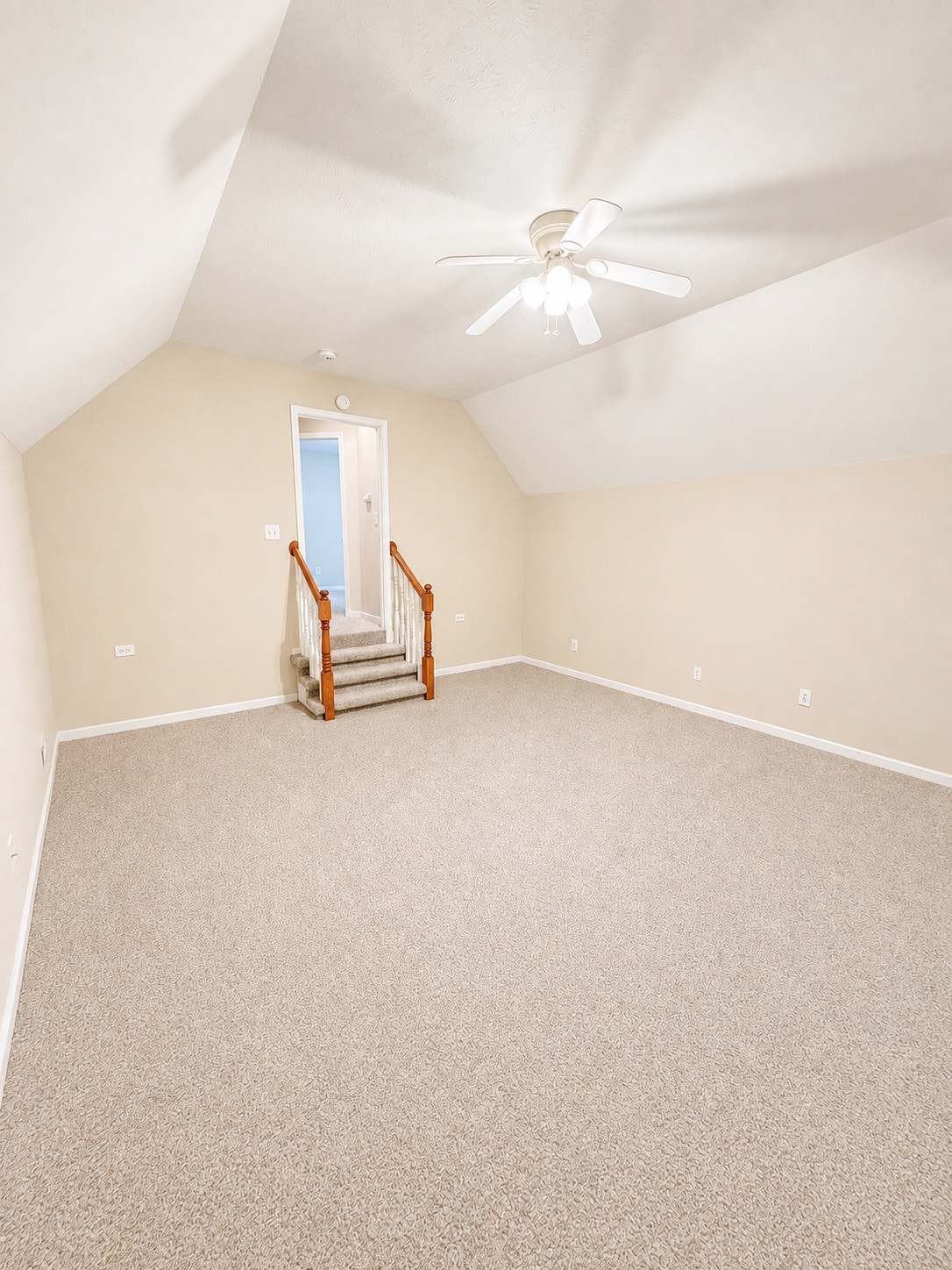 1308 Springmore Ct Property Photo 24
