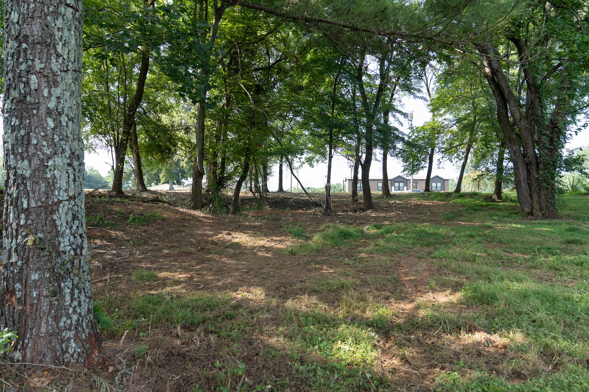 244 Howell Hill Rd Property Photo 5