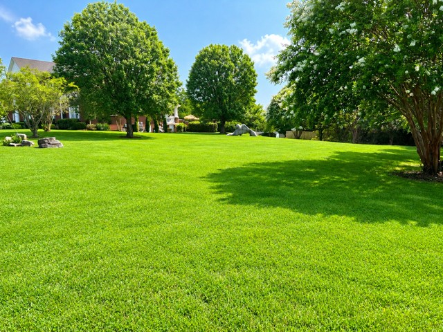 325 N Central Avenue Property Photo 1