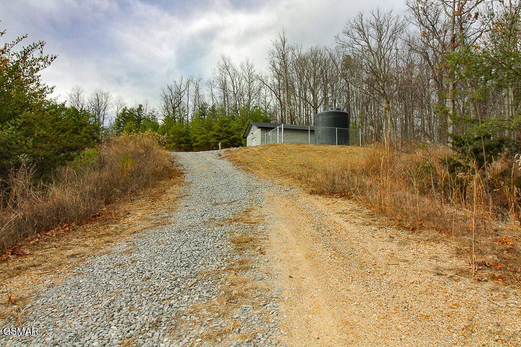0 Mountain Ash Way Property Photo 12