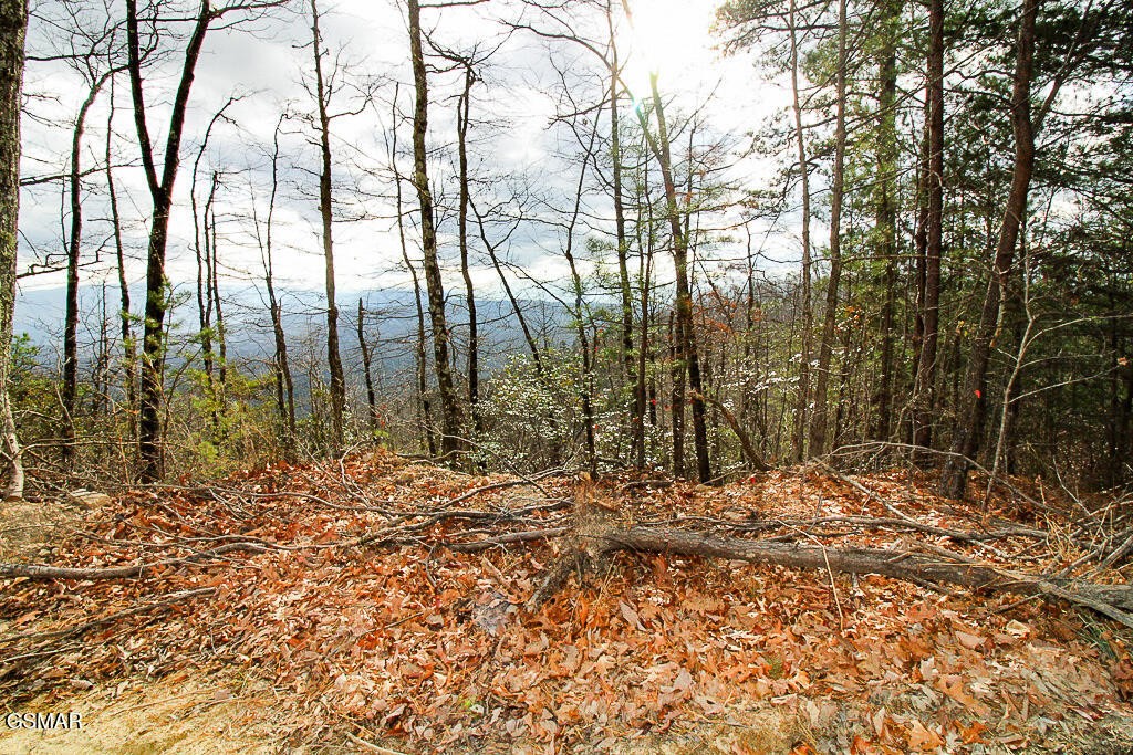 0 Mountain Ash Way Property Photo 18