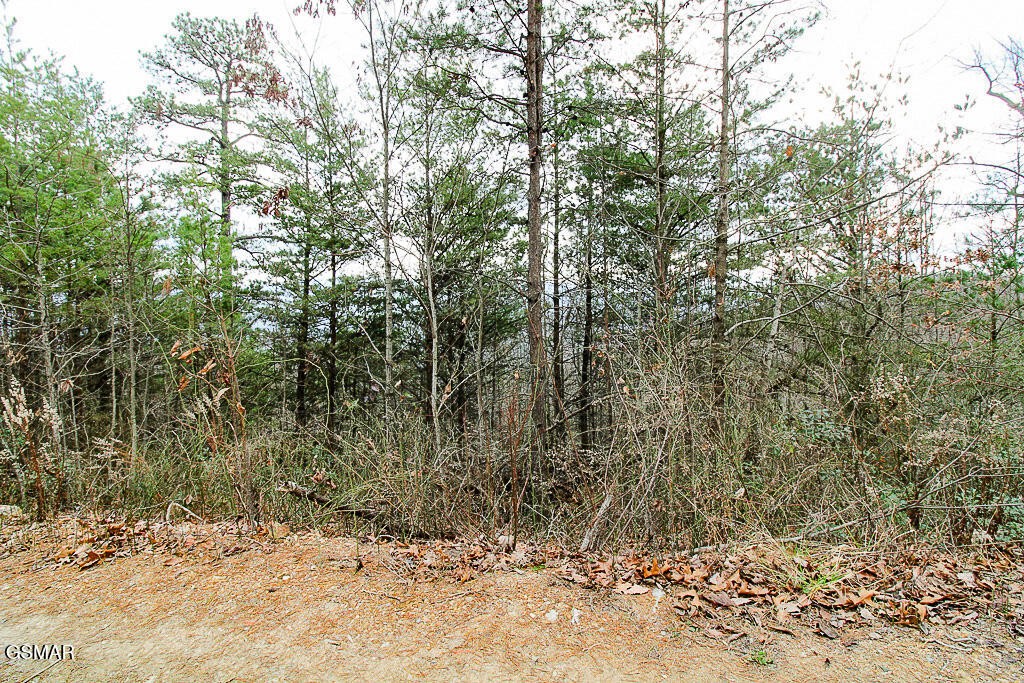0 Mountain Ash Way Property Photo 22
